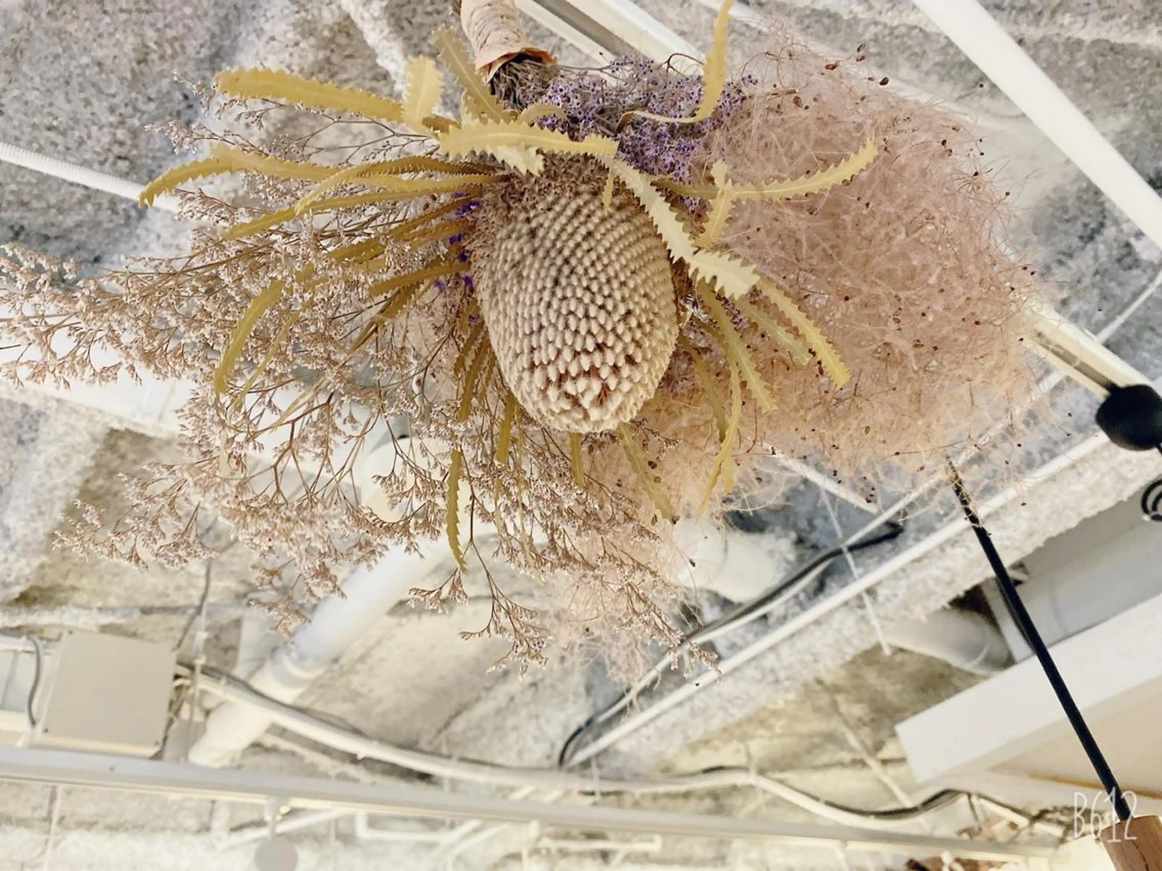 ご新規様 似合わせカット✂︎の写真