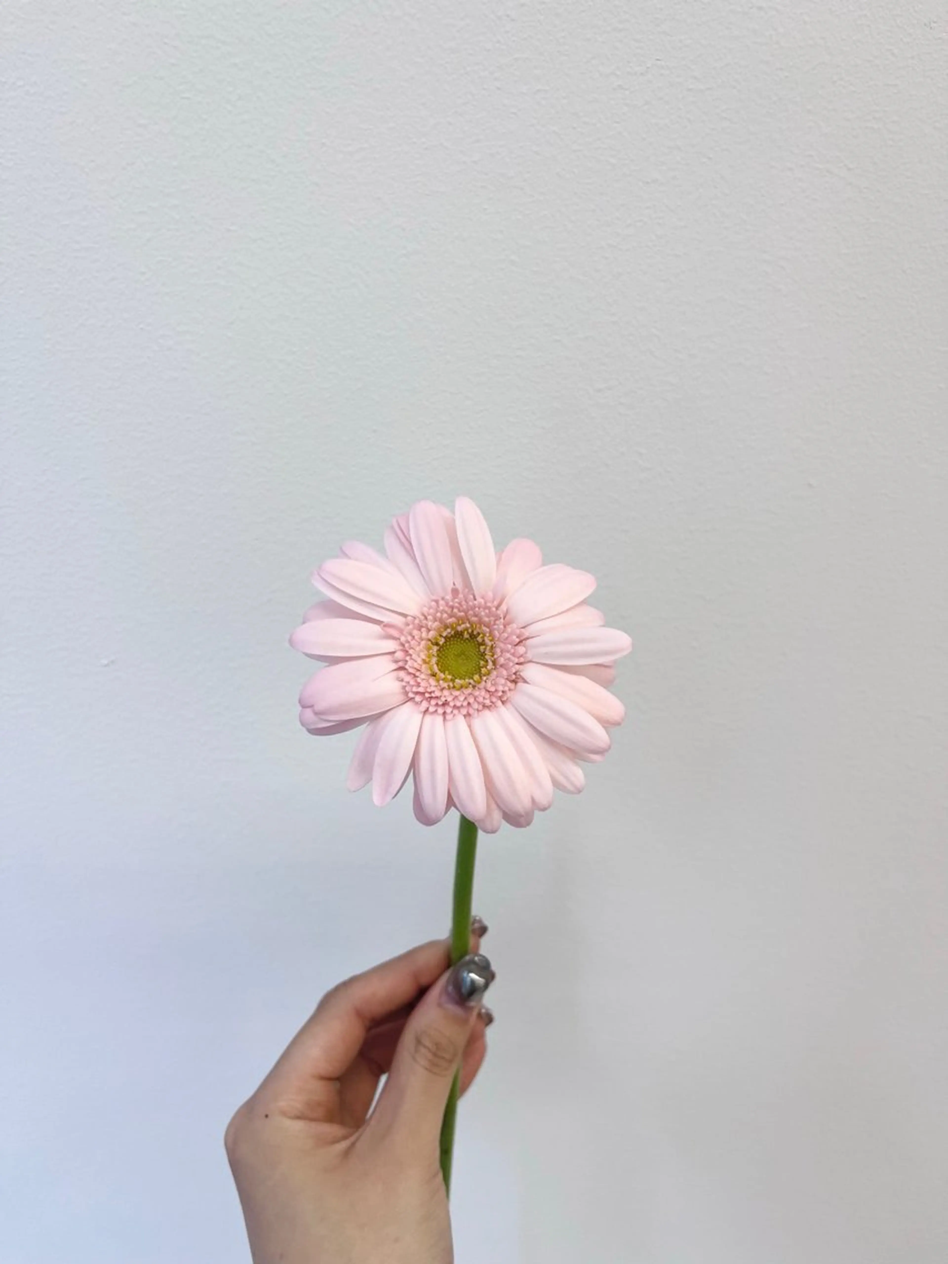 暖色カラー/ ヘアセット🌛櫻井舞のヘアスタイル