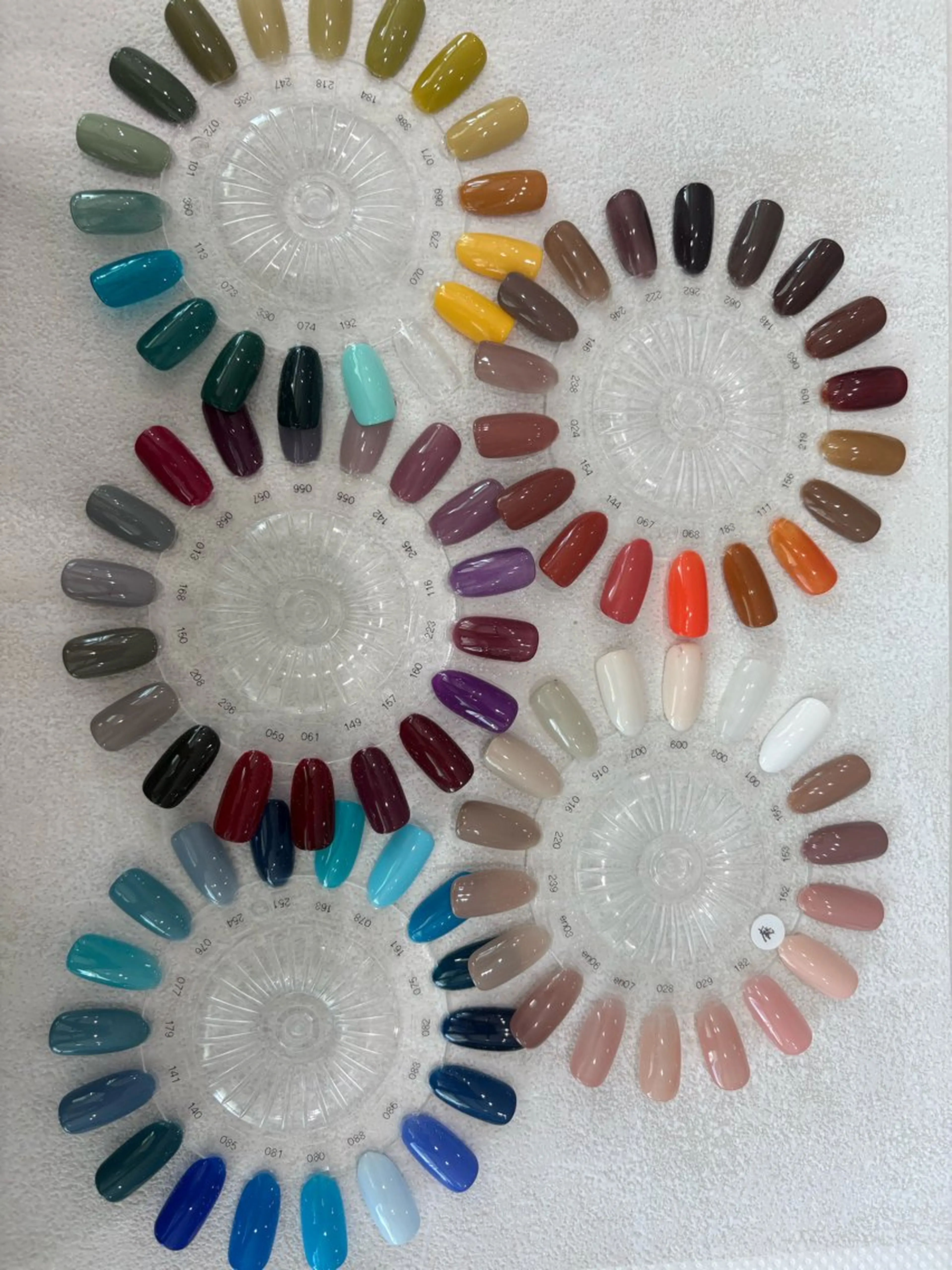 ネイル ワンカラーネイル 坂本 優佳のネイルデザイン