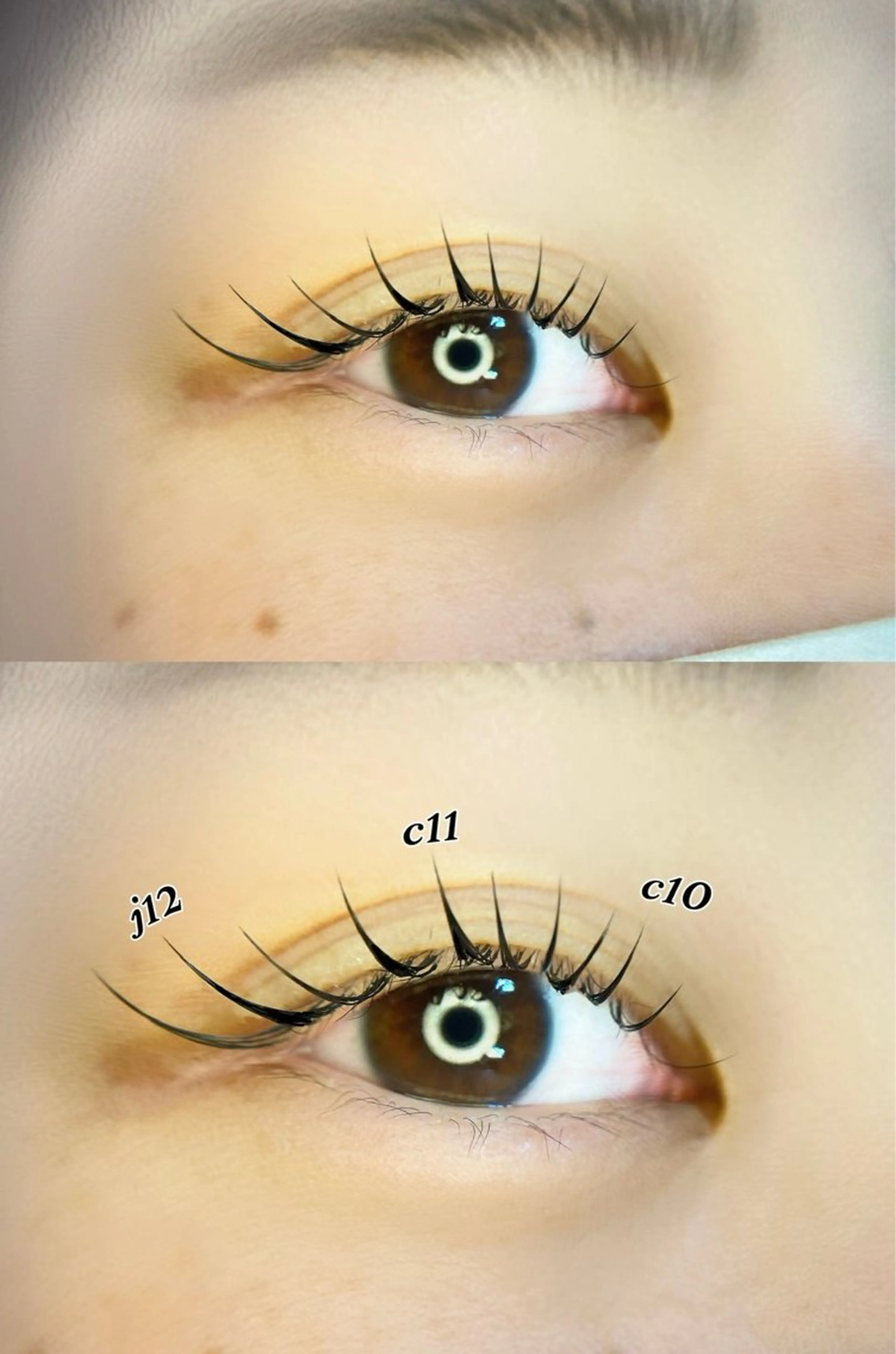 フラットラッシュ100本の写真