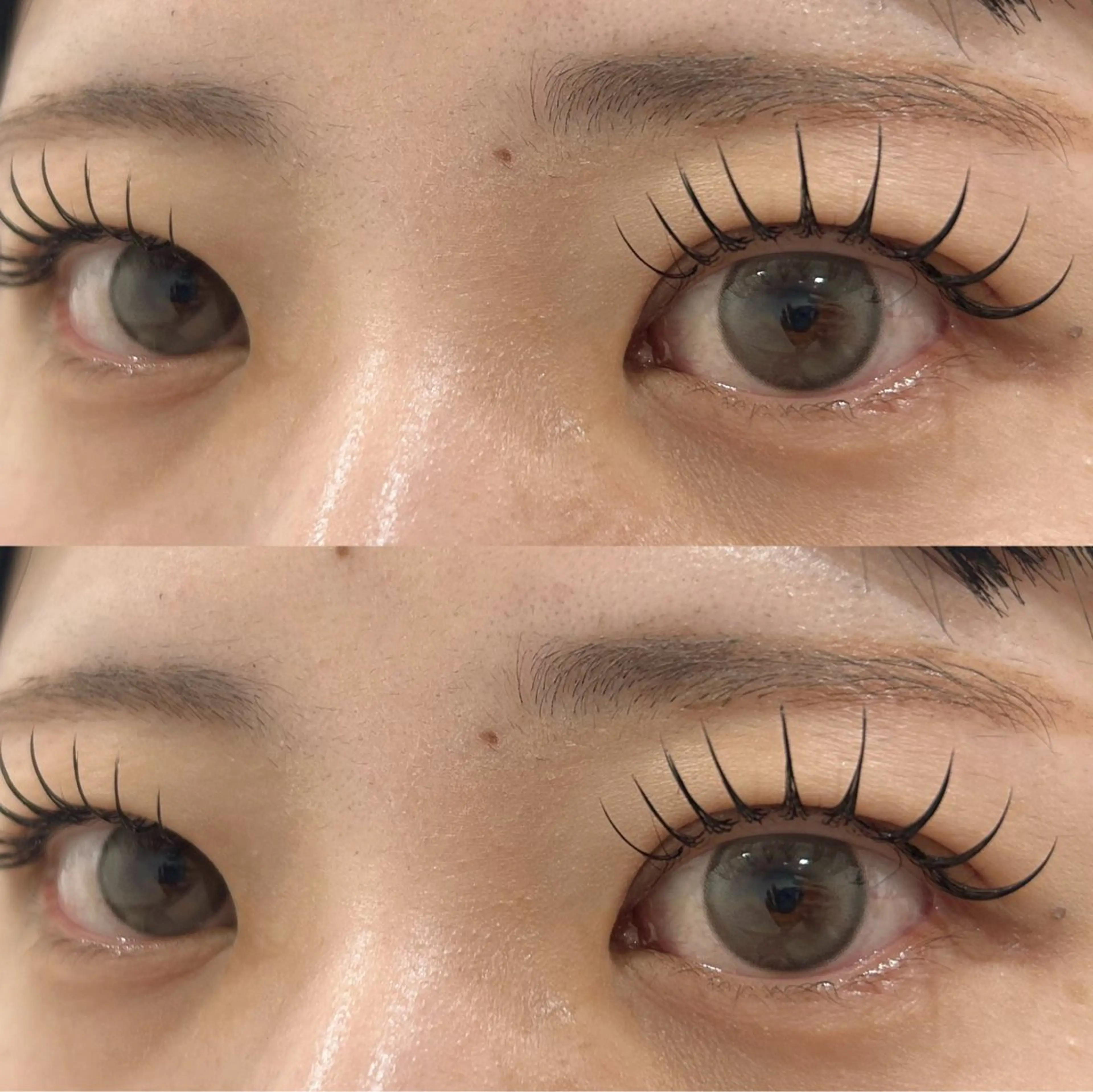 限定価格💫初回OFF込❕マツエク🌼ྀི付け放題150本まで𓈒𓂂𓇬の写真