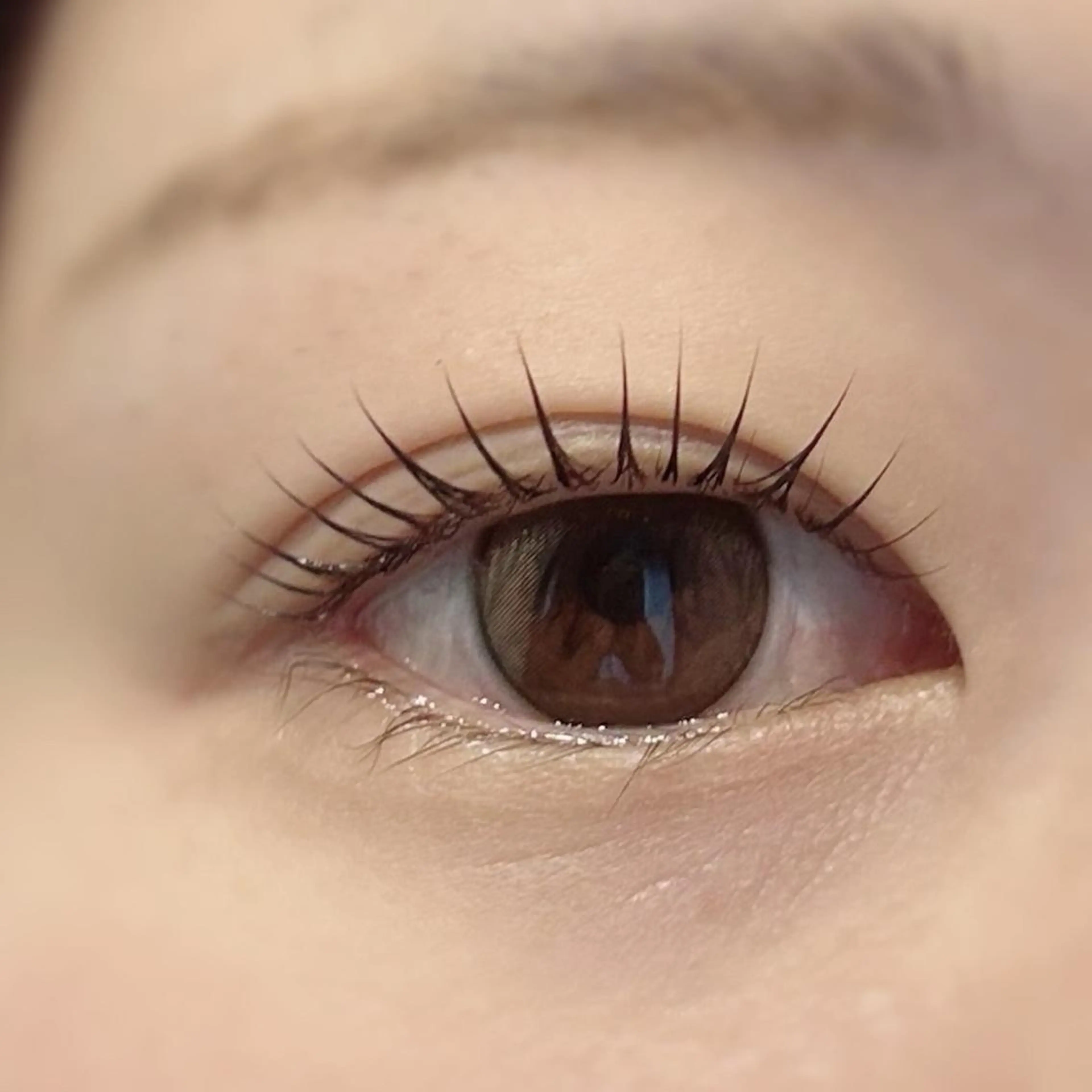 マツエク・マツパ バインドロック 束感まつ毛 フラットラッシュ 韓国風マツエク まつげパーマ マツパ Biolus／天王寺 ２号店🌼Arisaのマツエク・マツパデザイン