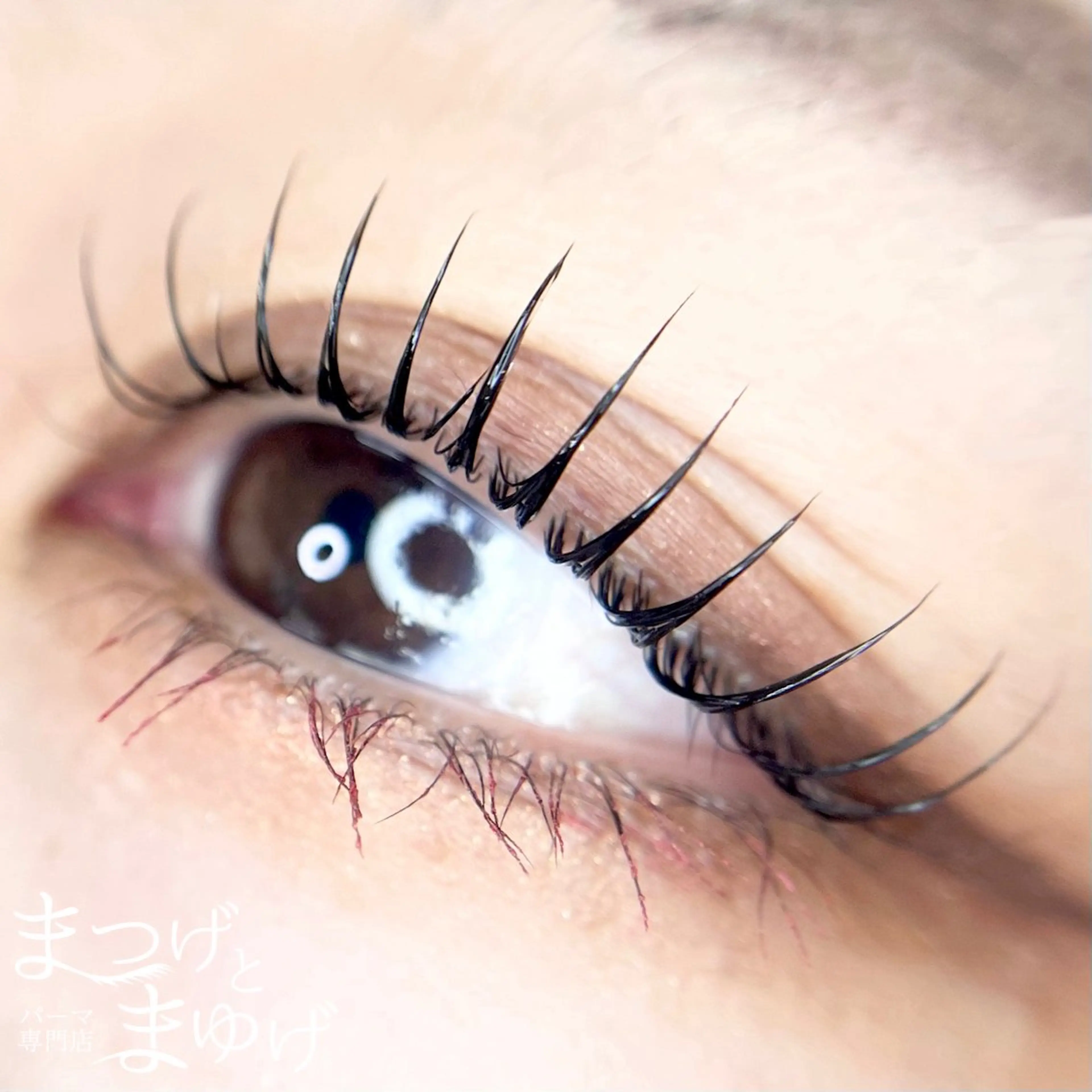 マツエク・マツパ まつげとまゆげ 天王寺店 帆乃果🎀のマツエク・マツパデザイン