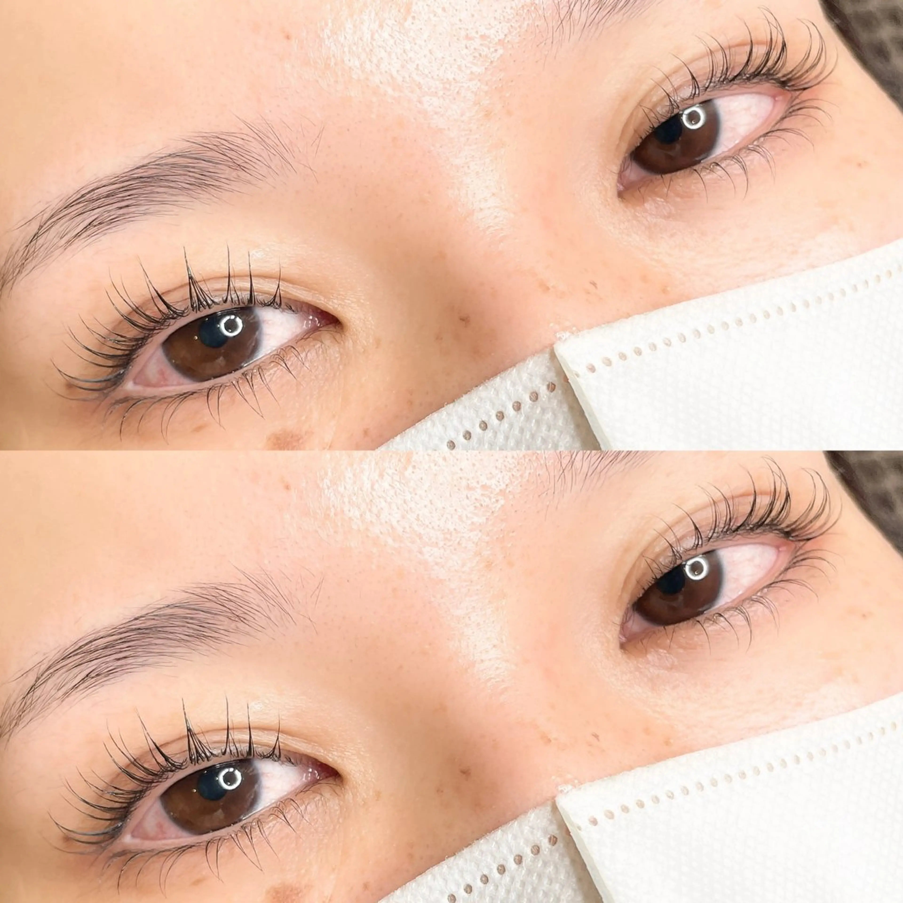 【ミニモ限定】ミニモ学割🦄まつ毛パーマ上下の写真