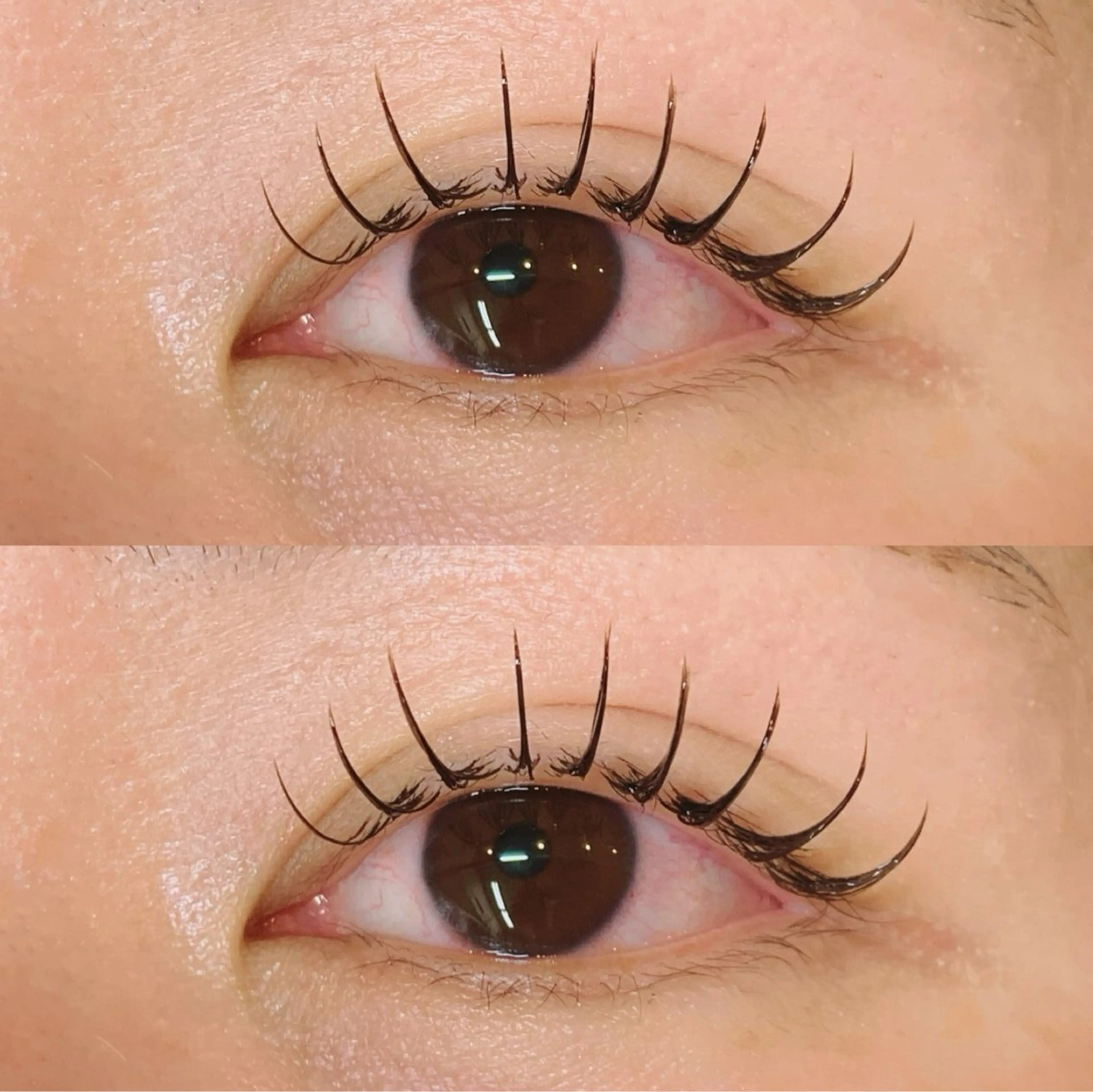 初めてのご来店の方限定🎀フラットラッシュ120本(コーティング、オフ込み)の写真