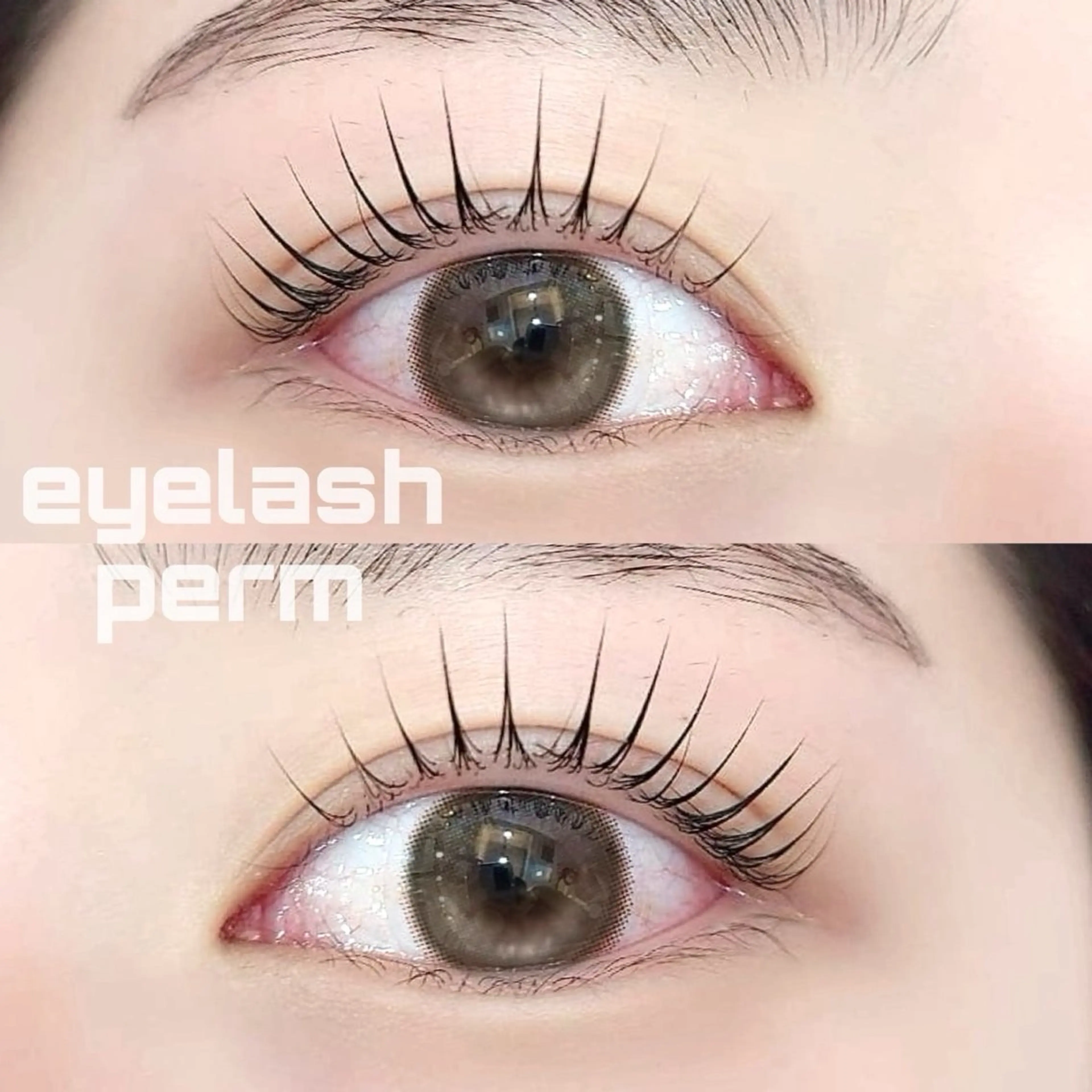 マツエク・マツパ 束感まつ毛 韓国風マツエク ナチュラル パリジェンヌラッシュリフト まつげパーマ 原宿まつげパーマ/  眉｜マツエク｜YUのマツエク・マツパデザイン