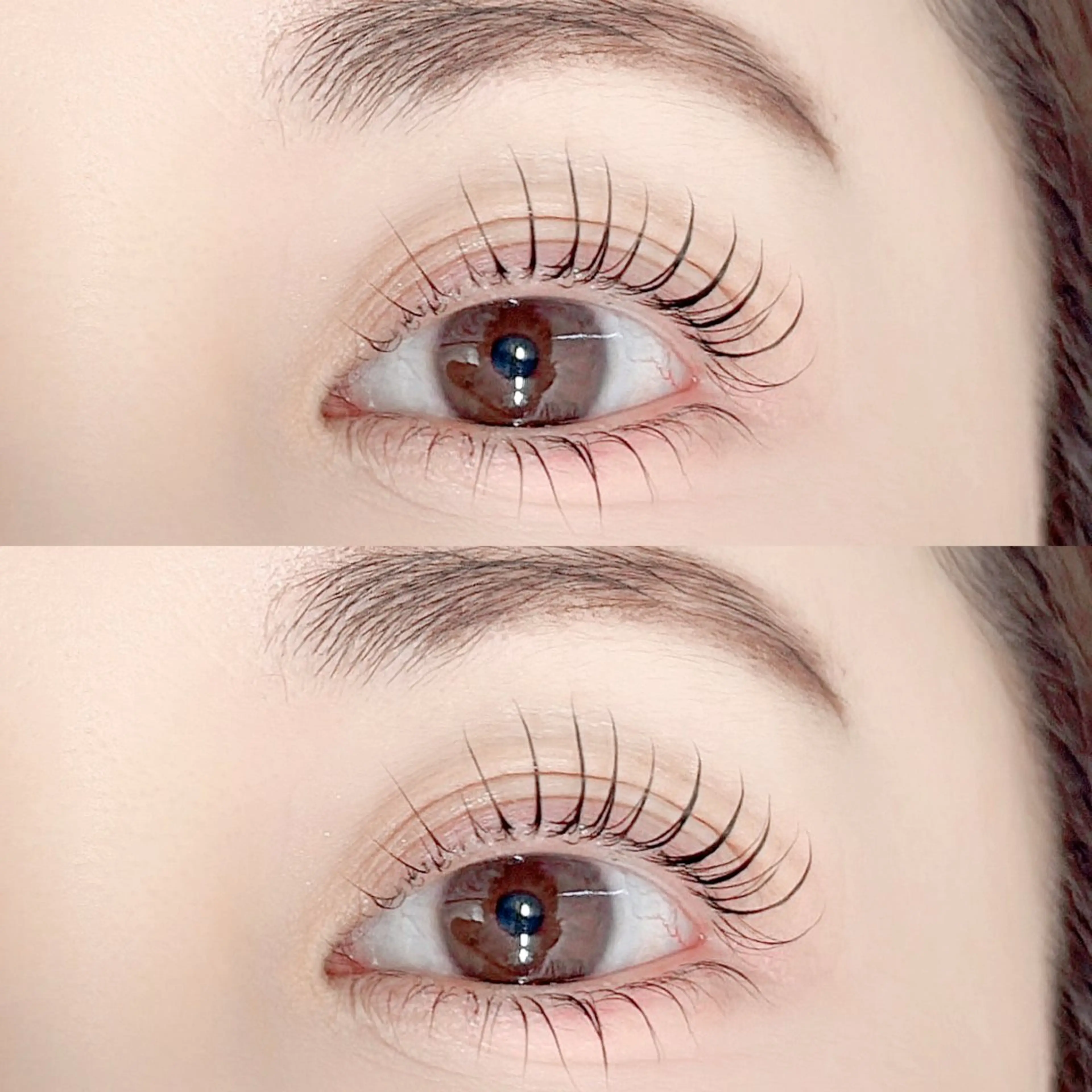 ブラックティント🩶上下まつげパーマ/パリジェンヌ➕550円※エクステのオフがある方はお知らせください(オフ550円)の写真