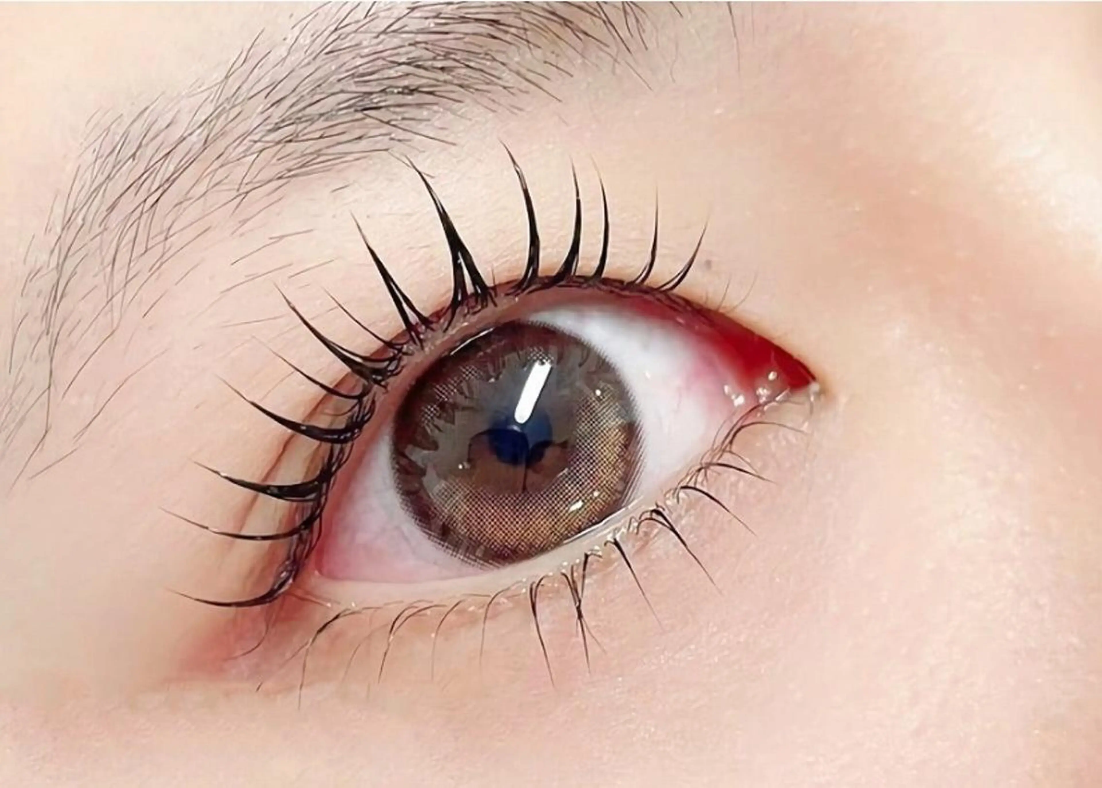 韓国風 🌷束感❣️新次世代上まつ毛パーマ✨くるとカール長持ちラッシュリフト 高濃度コラーゲン美容液仕上げの写真