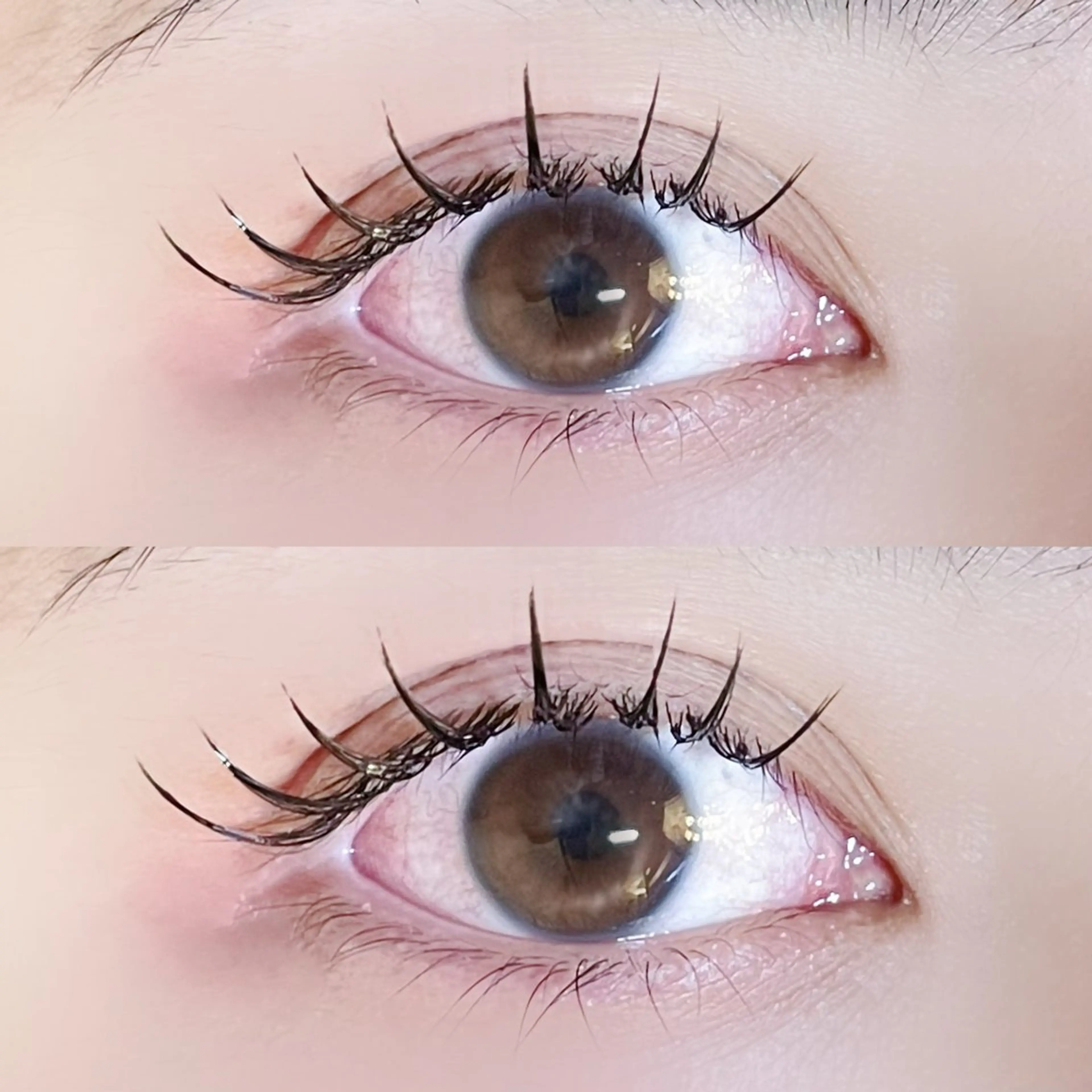 マツエク・マツパ Azuria恵比寿 🧸Maayaのマツエク・マツパデザイン