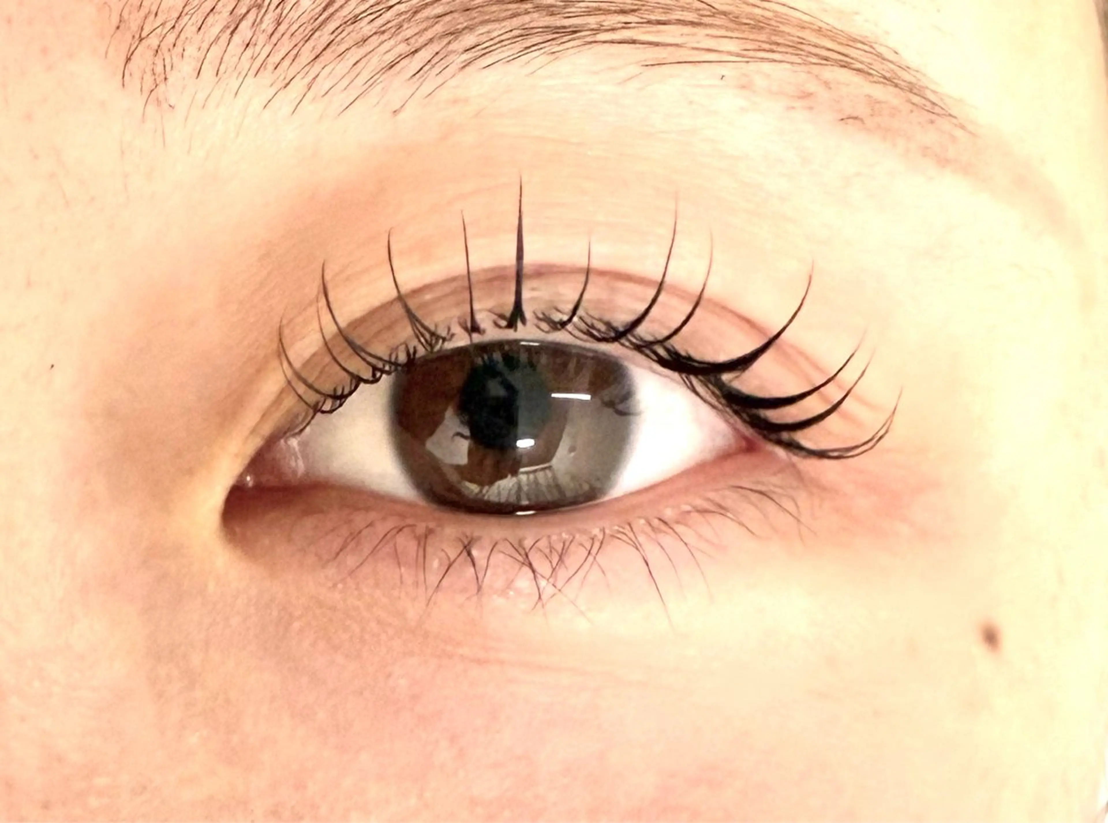 大人っぽ流しまつ毛メーテルカール🌹コーティング付オフ500円​〜​の写真