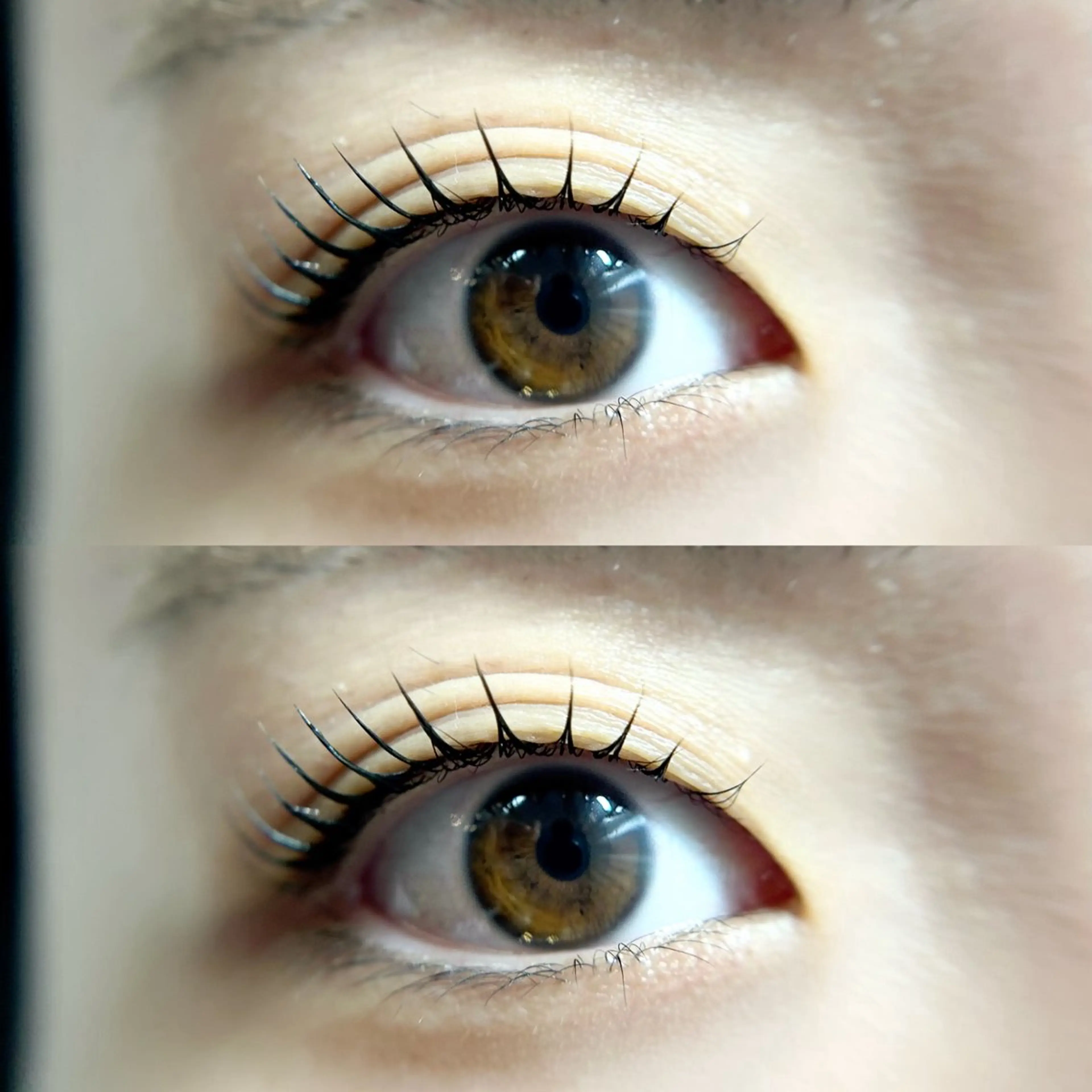 マツエク・マツパ peTiT京橋店🌷 yuiのマツエク・マツパデザイン