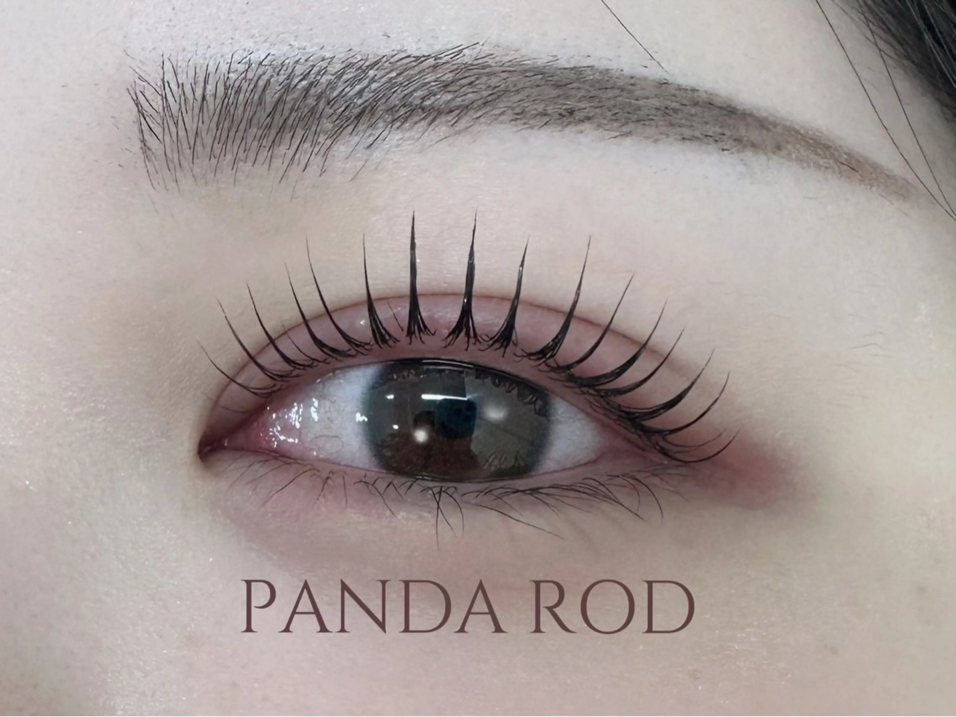 マツエク・マツパ alice tokyo🌿鈴木のマツエク・マツパデザイン