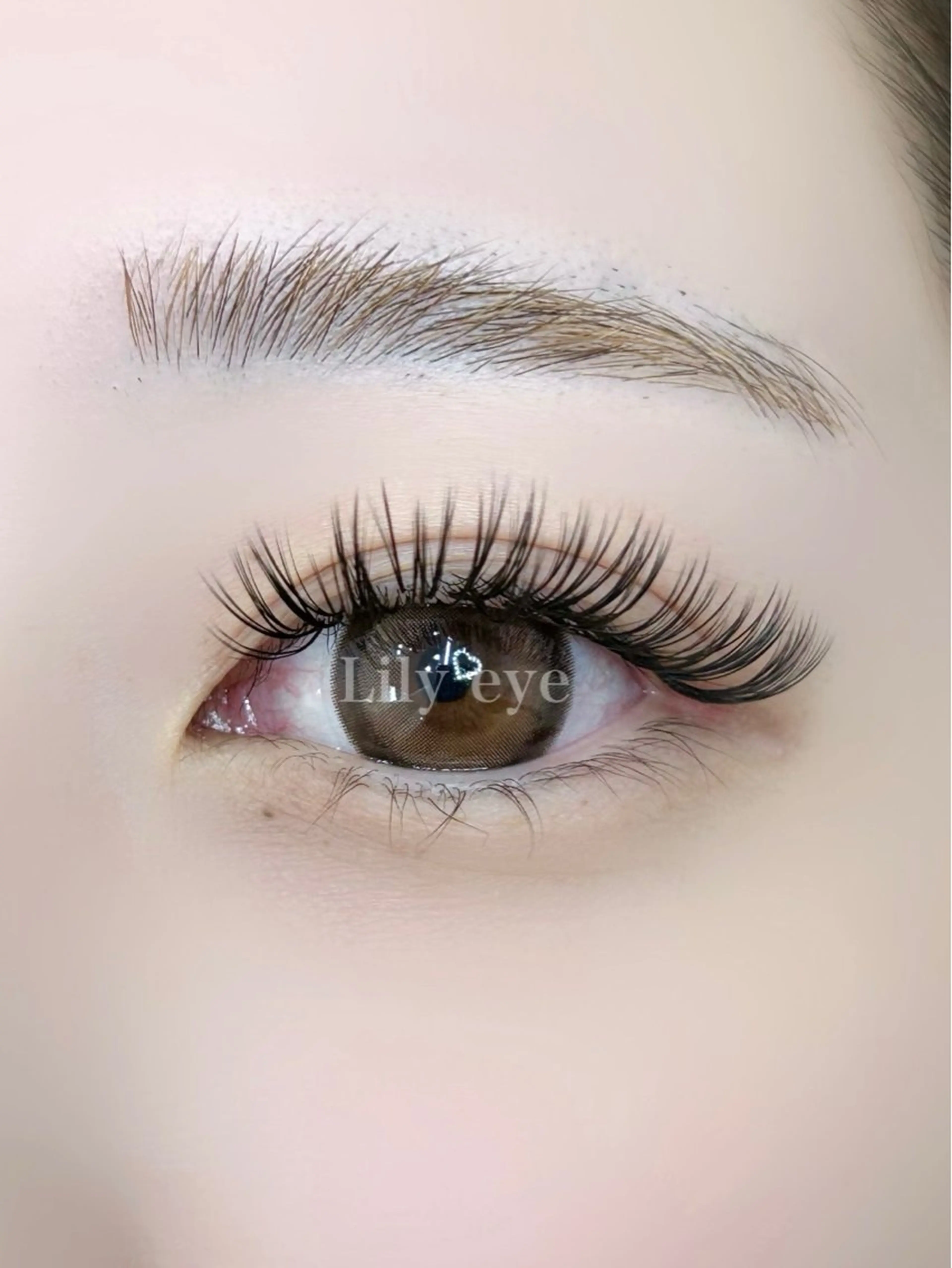 マツエク・マツパ マツエク まつ毛専門店 Lily eyeのマツエク・マツパデザイン