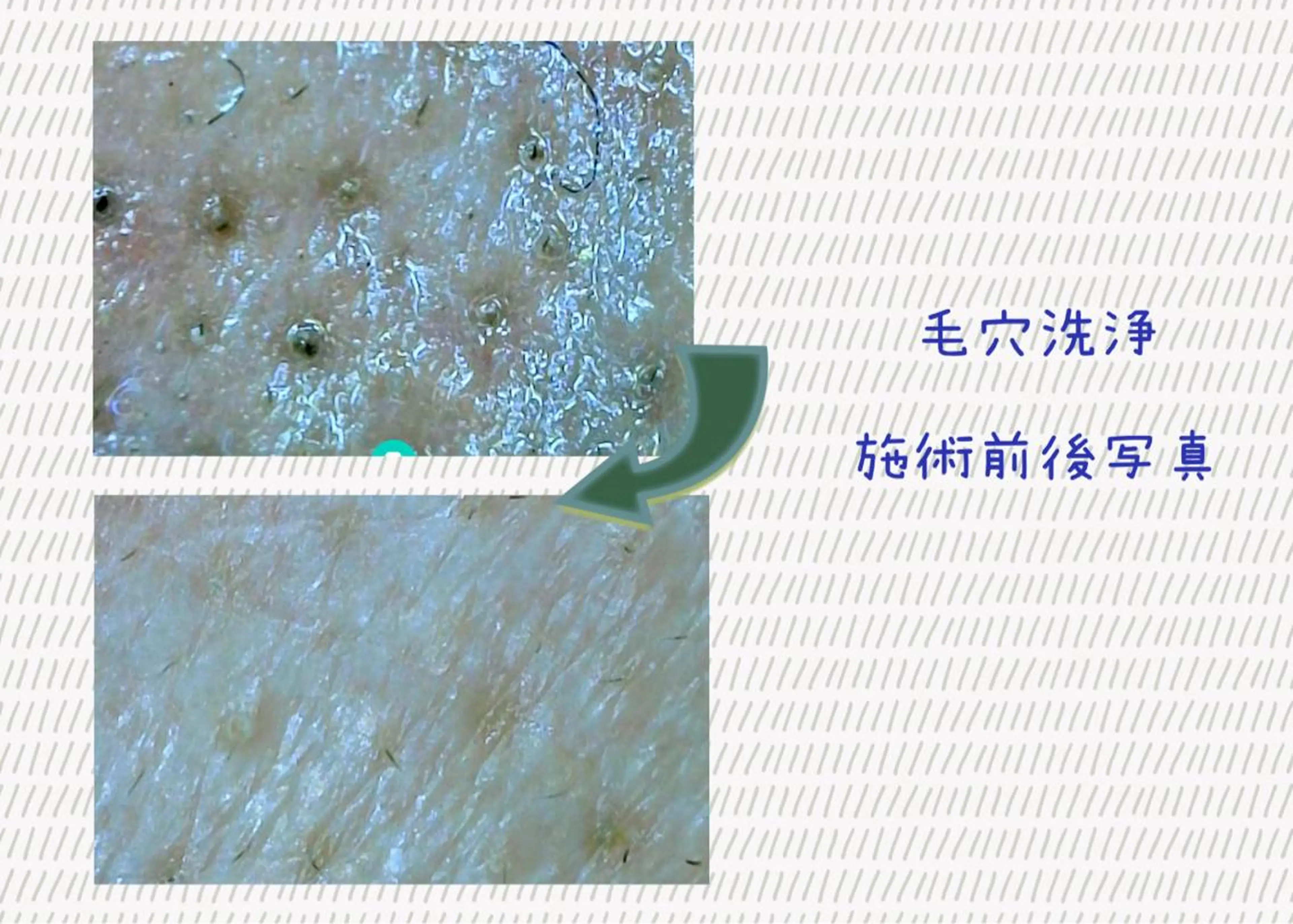 Laplace 池袋本店のその他イメージ