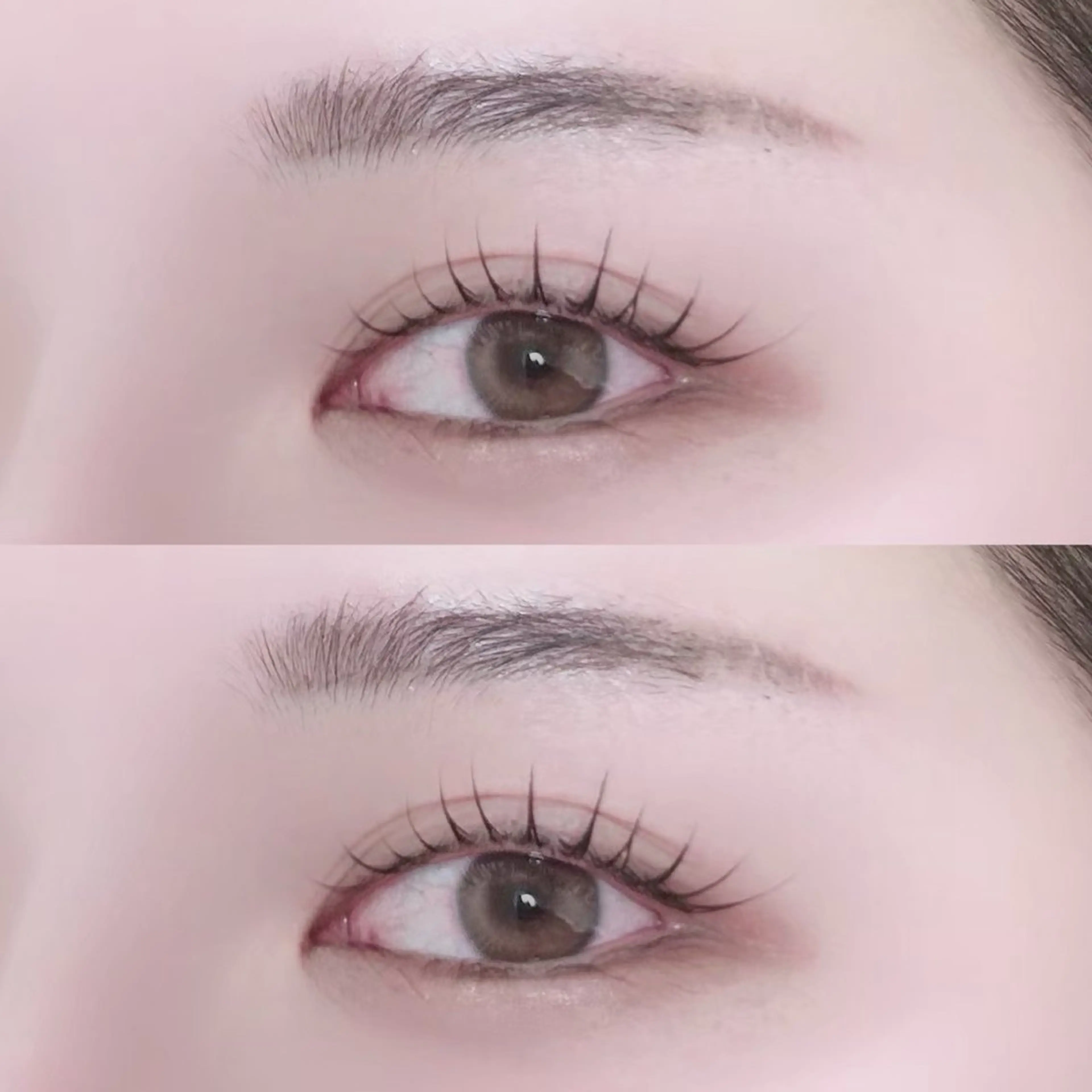 《本日限定》まつげパーマ(コーティング付き)୨୧の写真