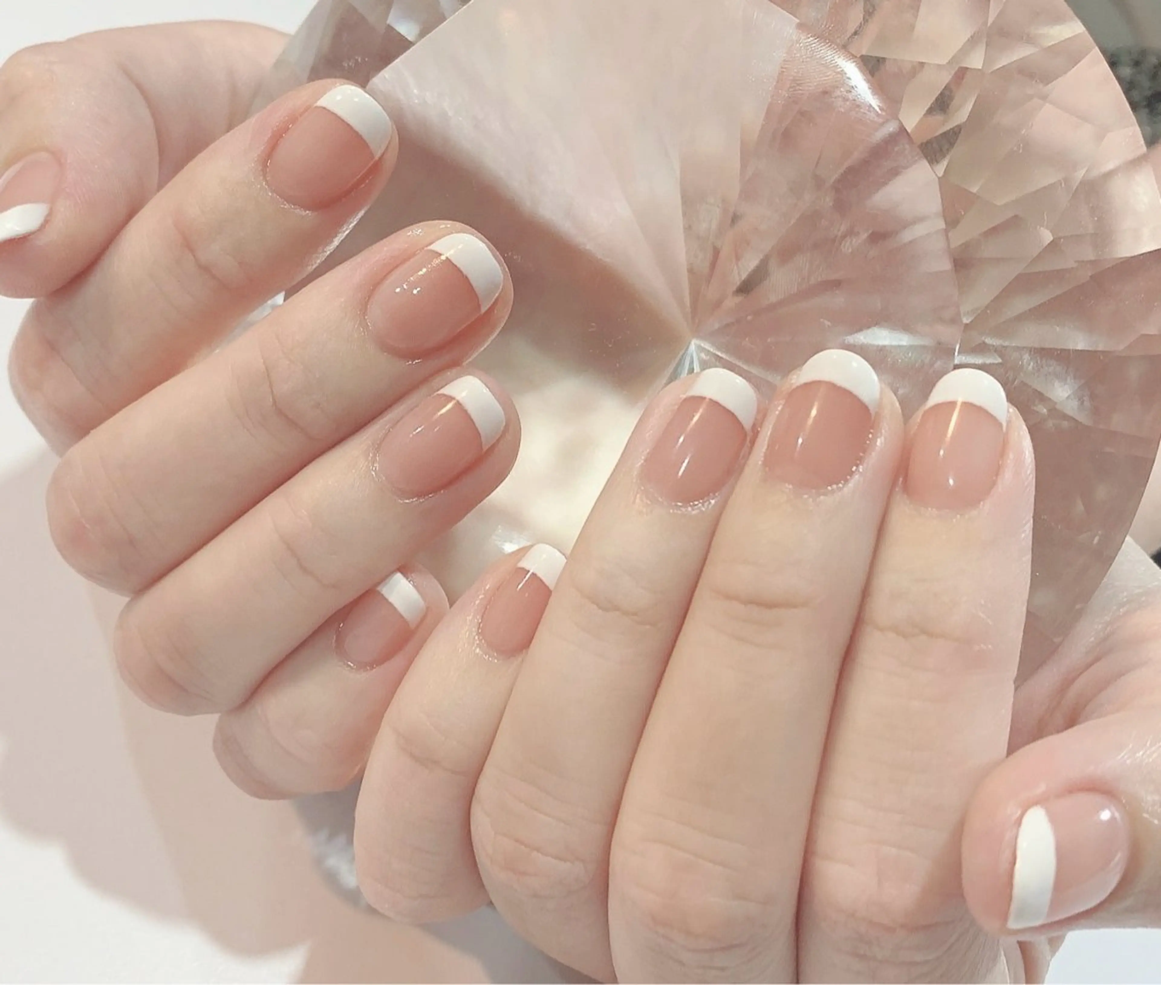 フレンチの写真