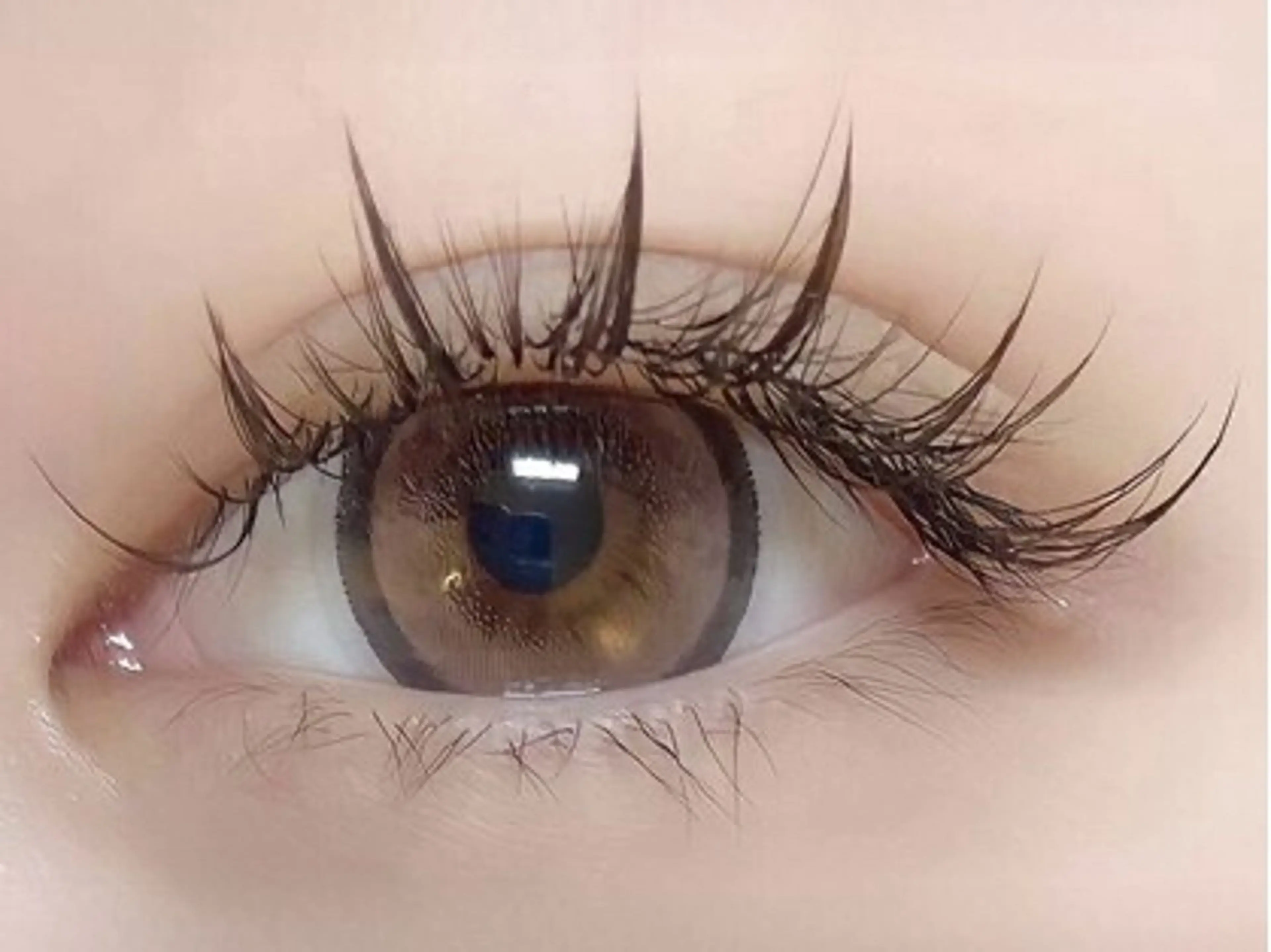 【ワンホンマツエク】ナチュラルワンホン400本　コーティング付きの写真