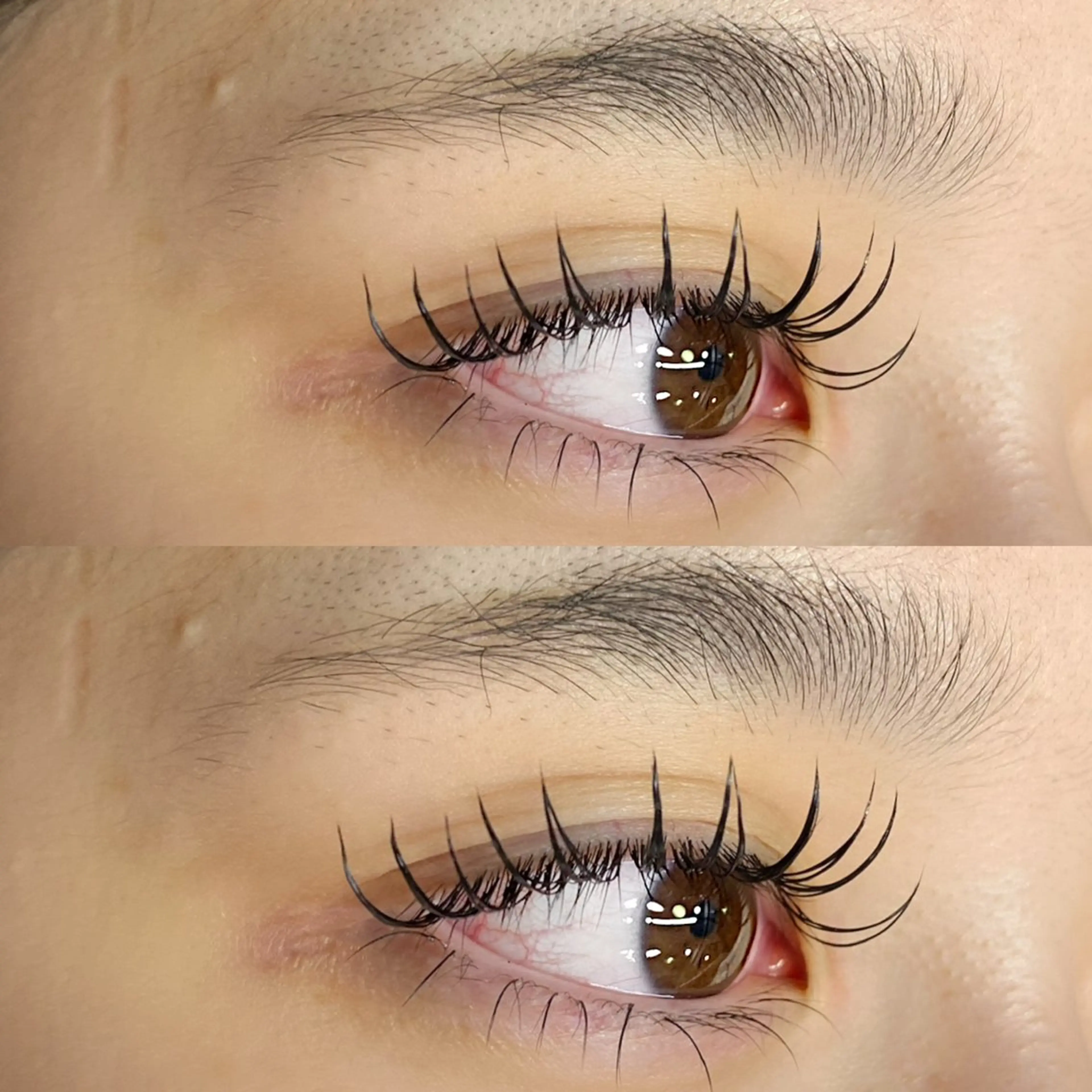 下まつ毛20本の写真