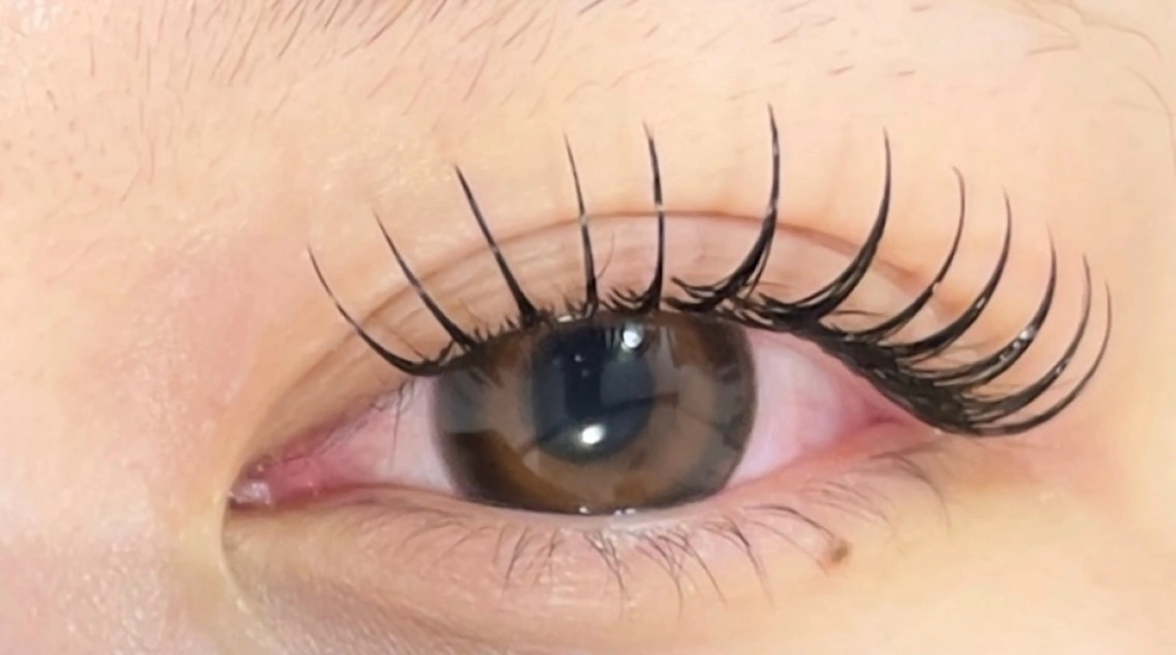 アンドヘルシー♡マツエク120本･まつ毛パーマの写真