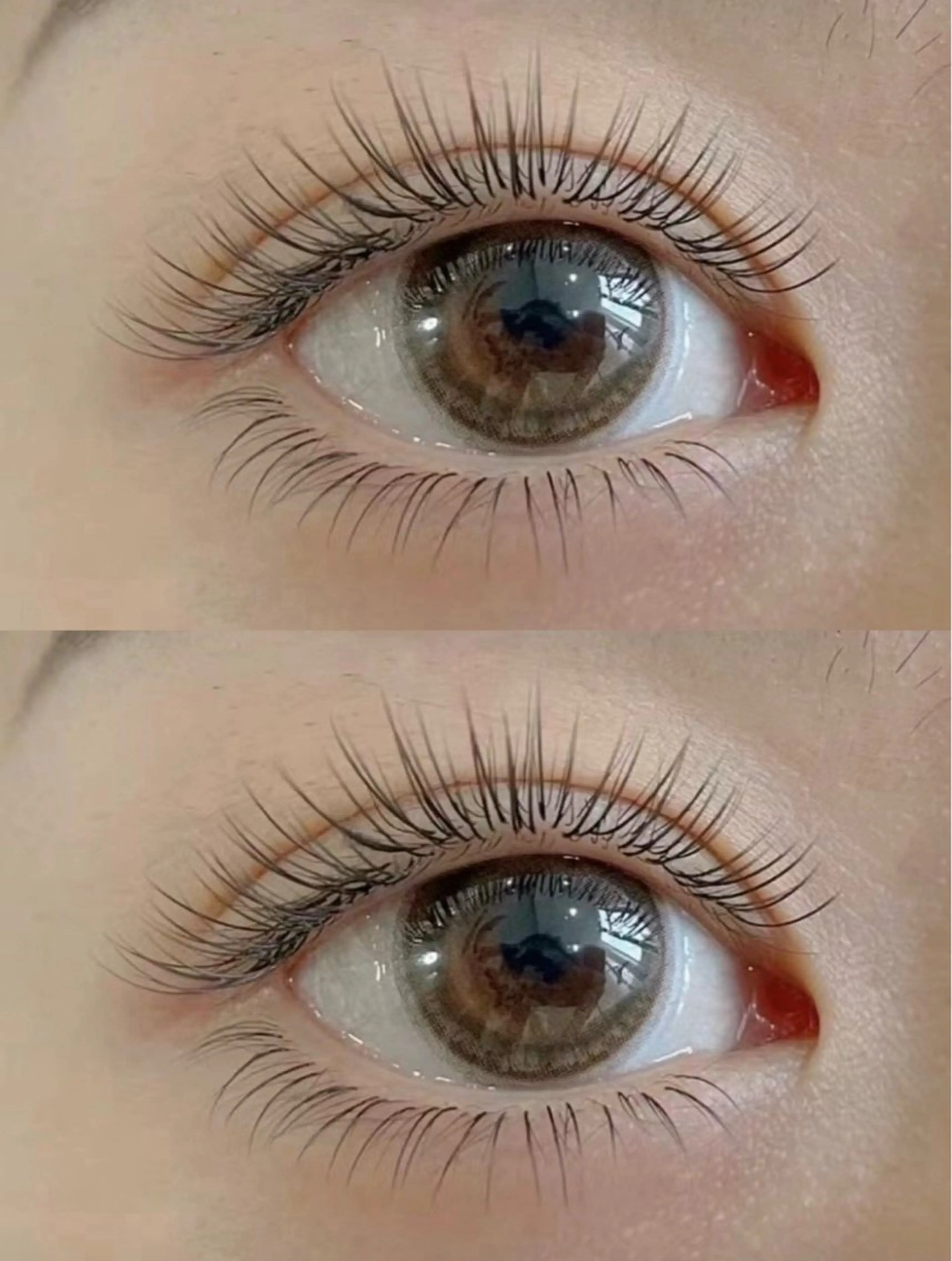 超軽量高持続力フラットラッシュ120本（オフ込み）　低発熱ＬＥＤ込みの写真