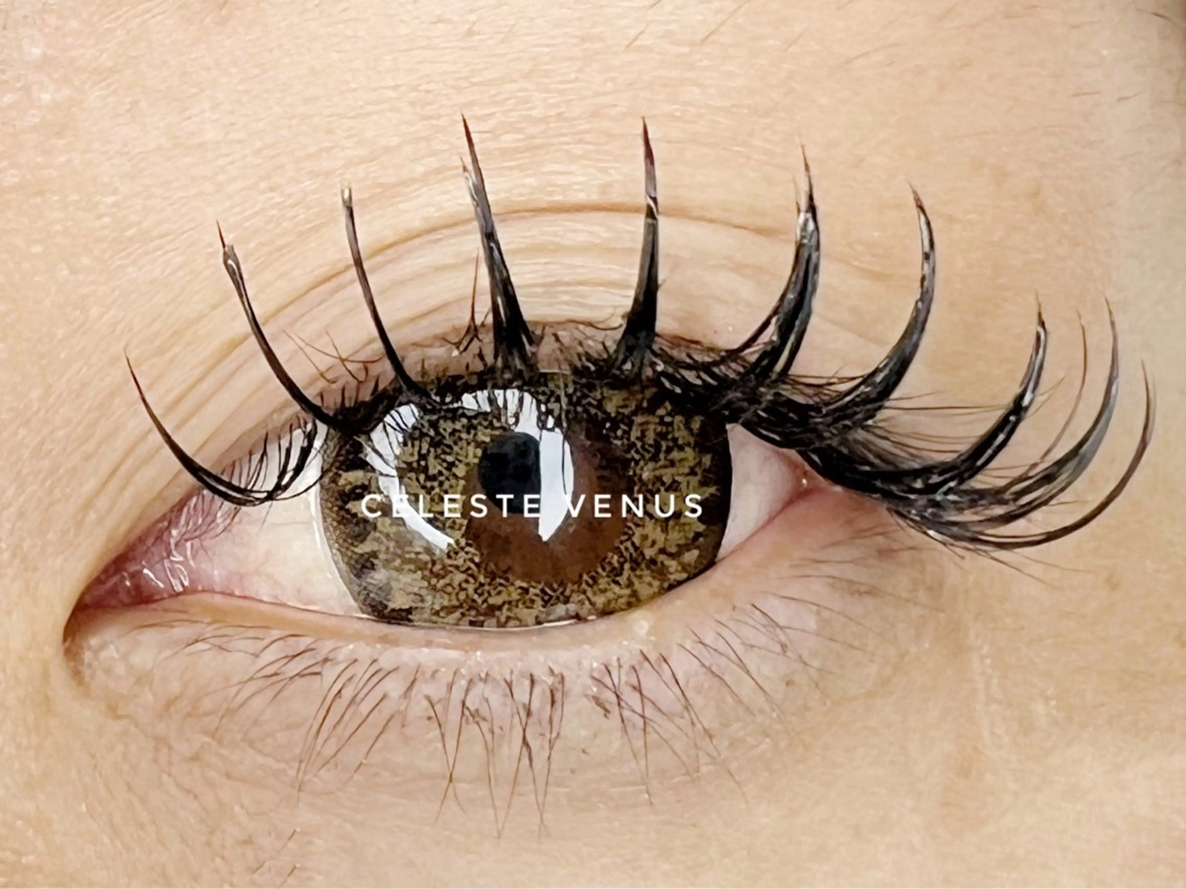 マツエク・マツパ マツエク 🧸Celeste Venusのマツエク・マツパデザイン