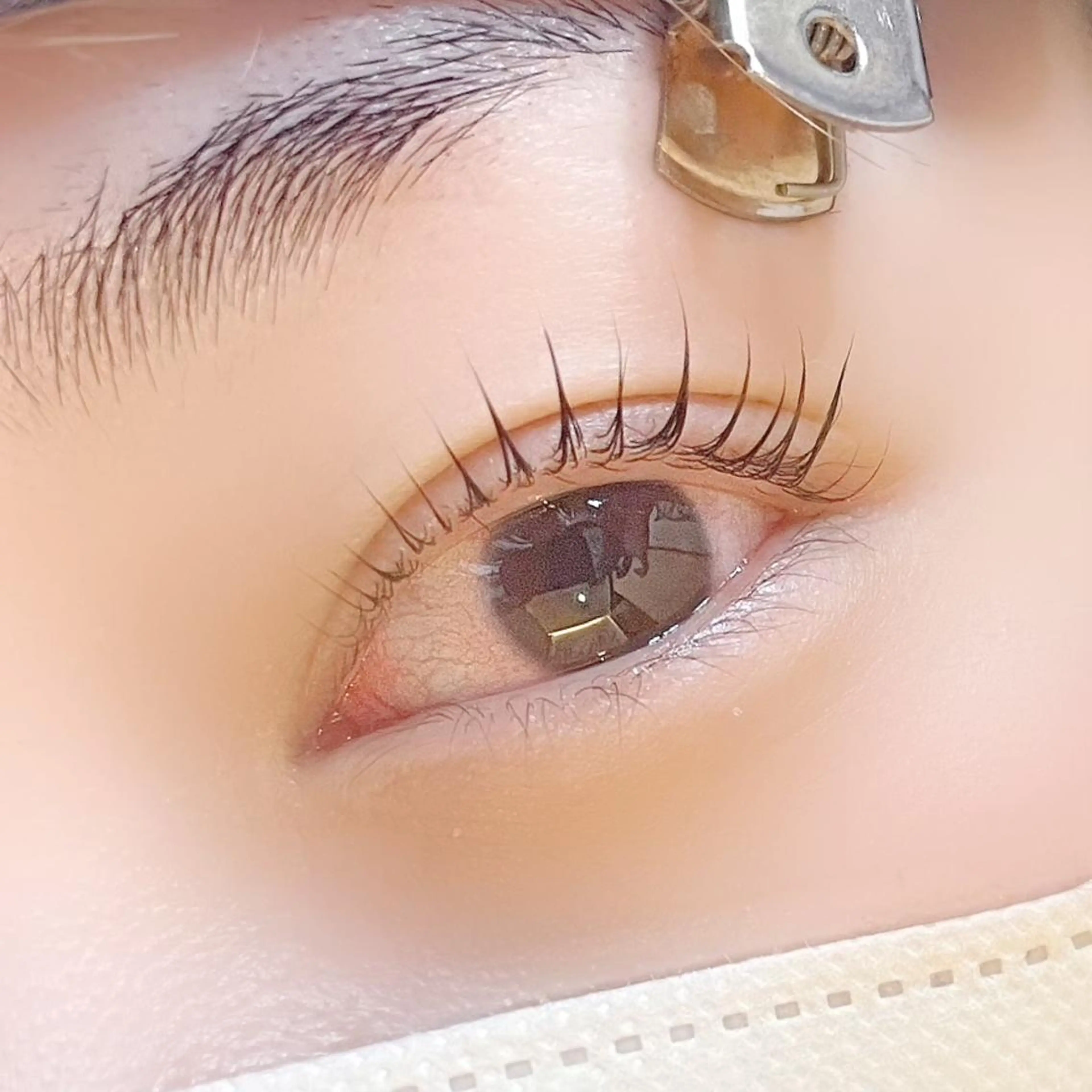 マツエク・マツパ ナチュラル まつげパーマ セーブル 一重×まつ毛パーマ マツパ Fave【フェイブ】 まつパ/眉毛/メンズの眉毛・アイブロウイメージ