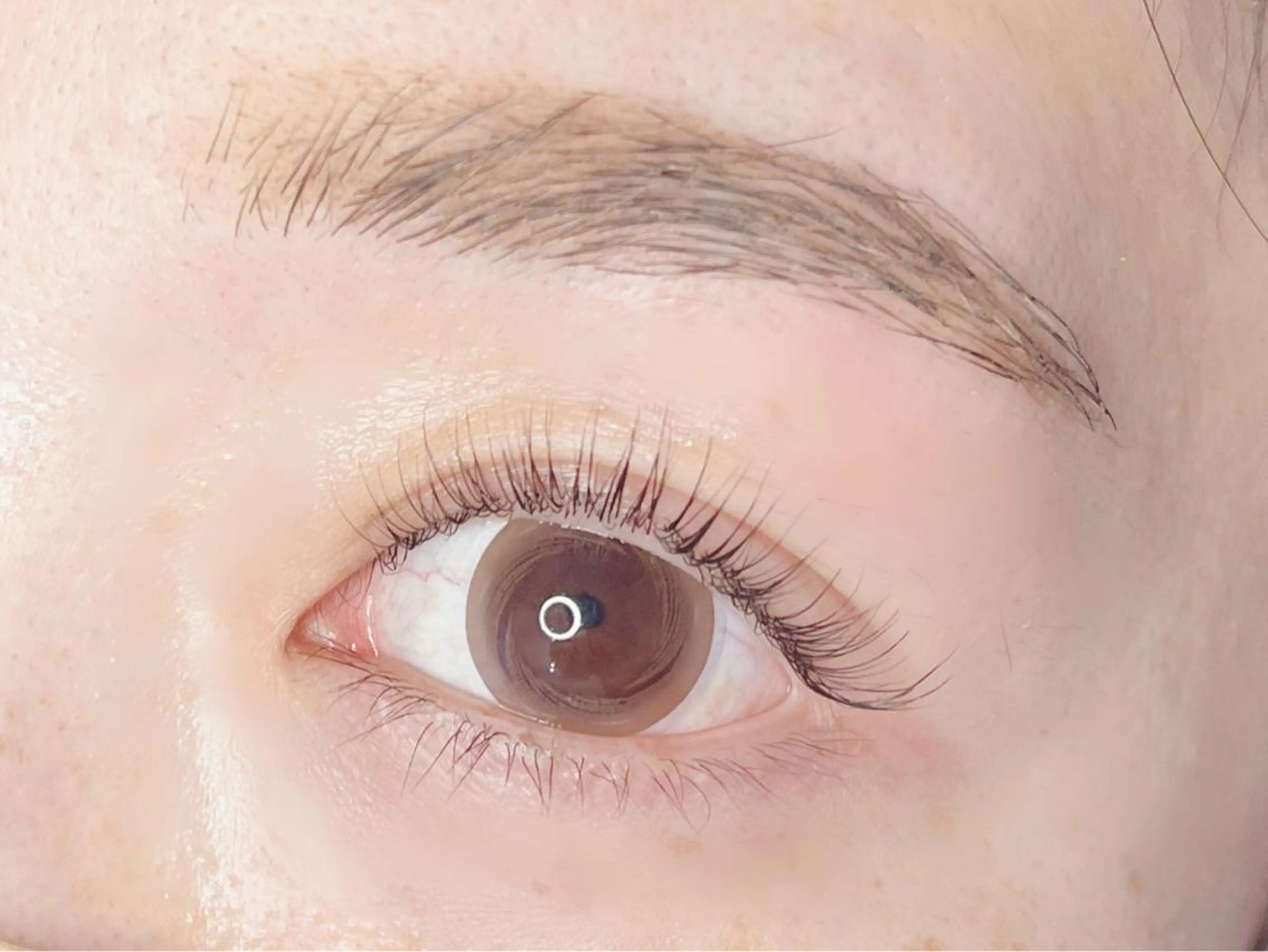 マツエク・マツパ 《eyelash ｉｉｔｅ》森のマツエク・マツパデザイン