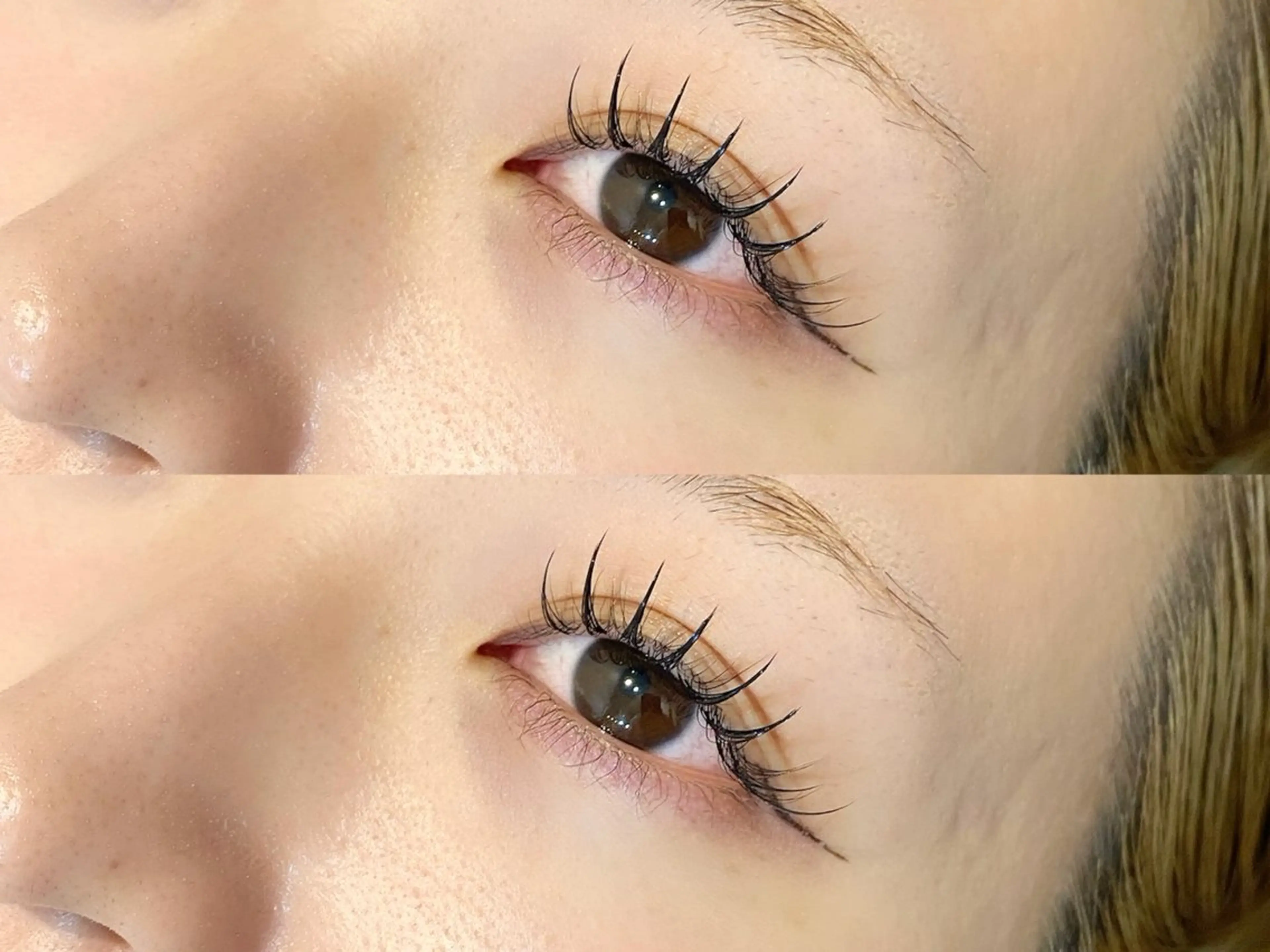 《OPEN記念》まつぱ＆エク★60束の写真