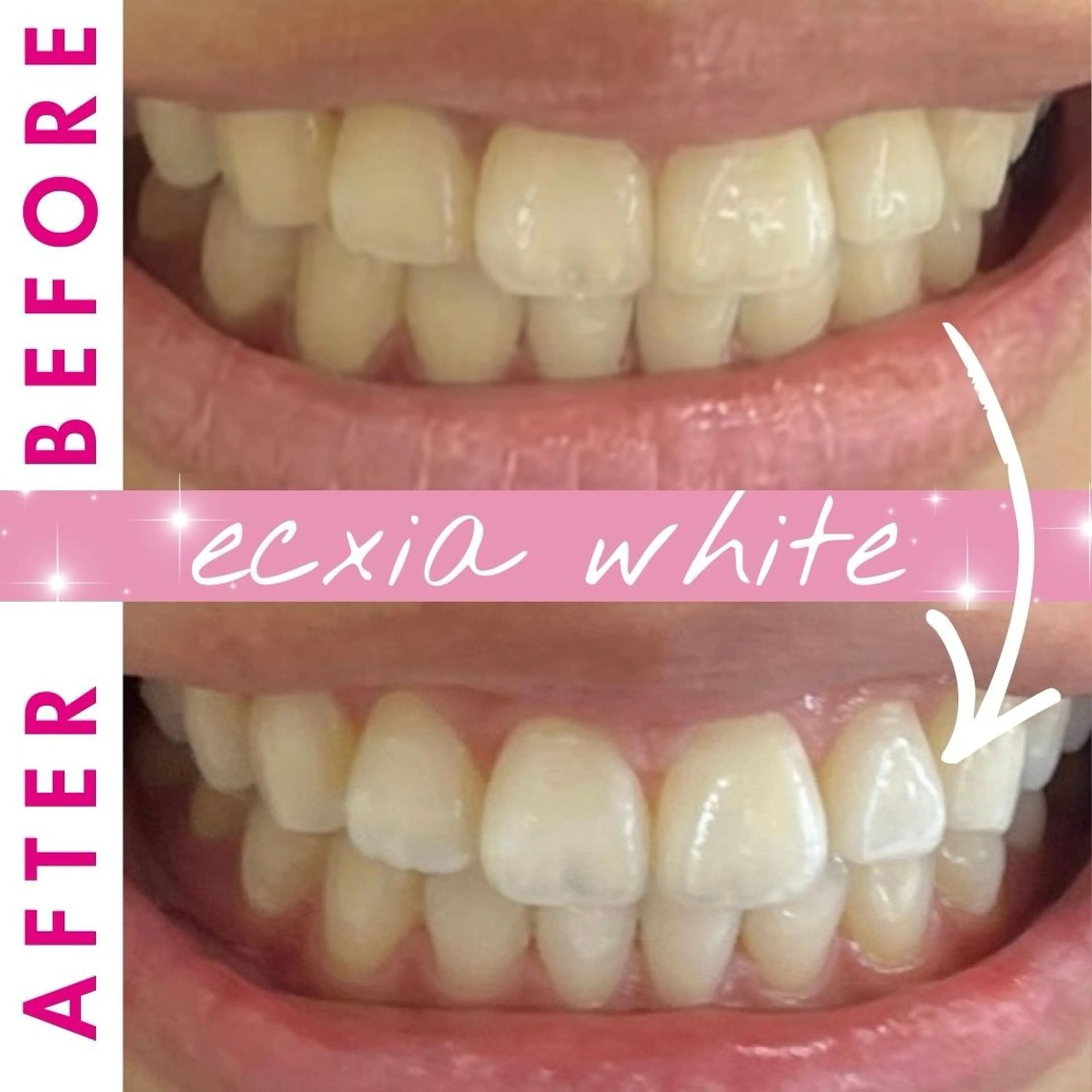 その他 エクシアホワイト西尾 堀内恵のその他イメージ