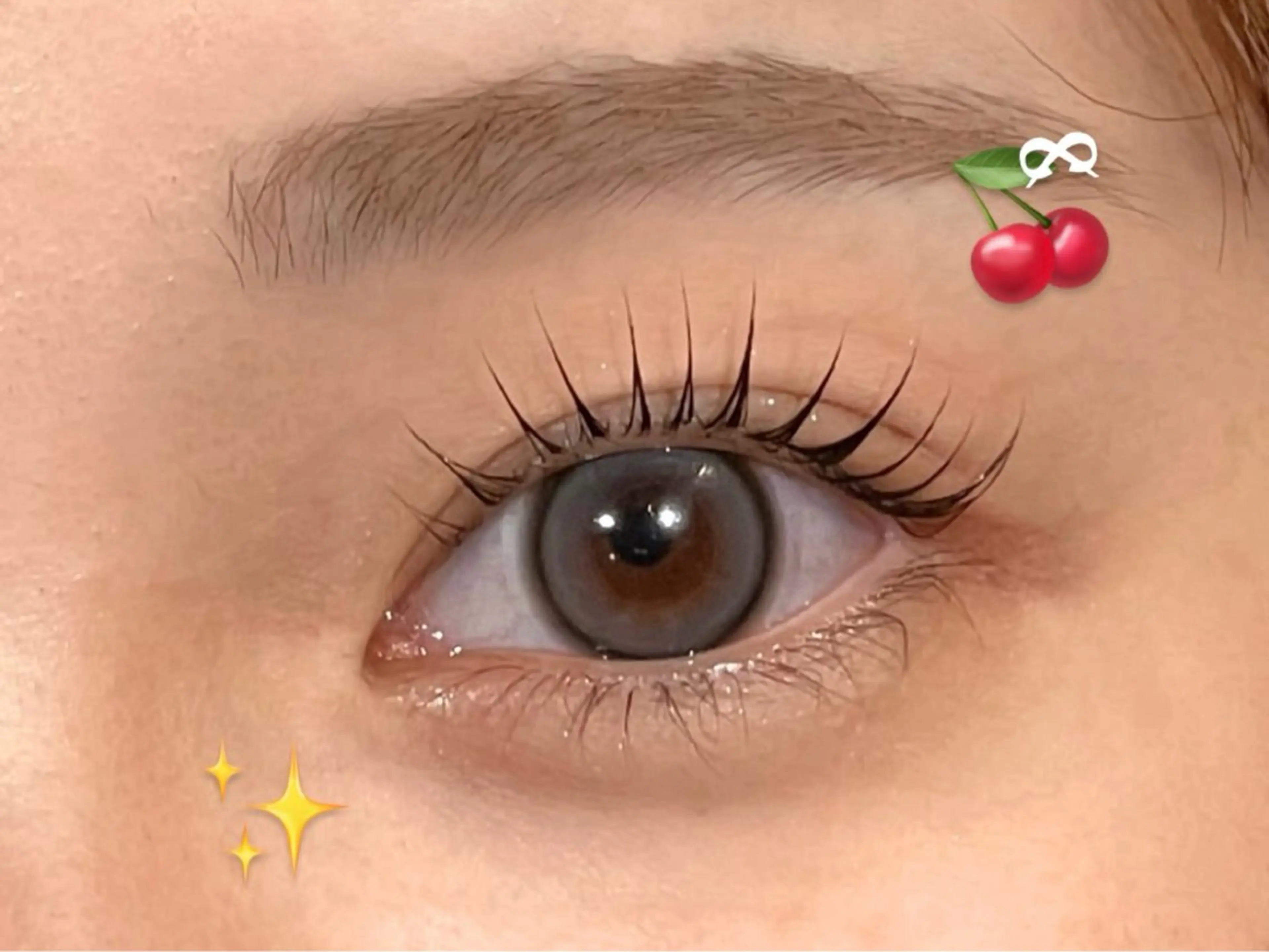 🌺パリジェンヌラッシュリフト👀✨️【ジュニアクーポン】の写真