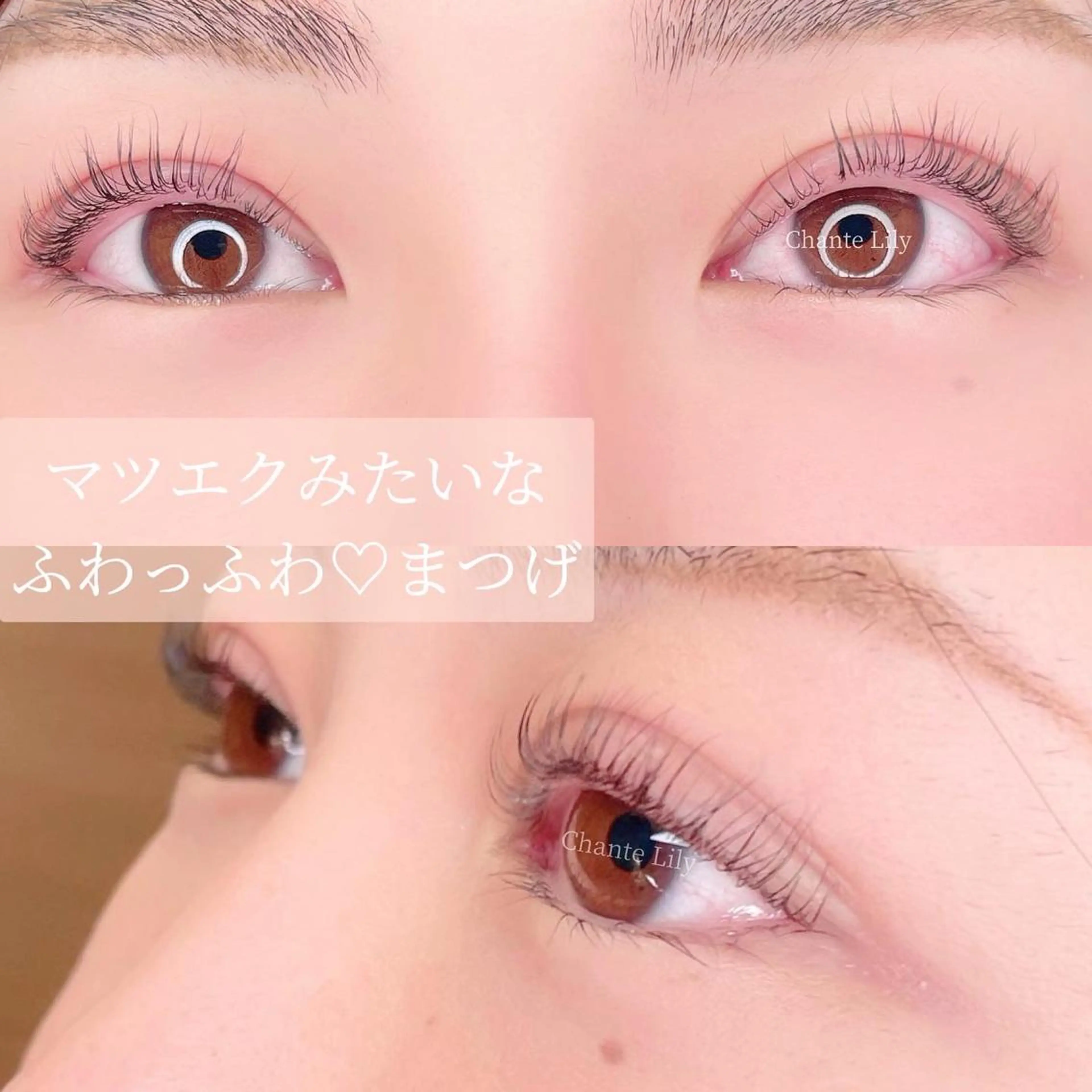 マツエク・マツパ 一重×まつ毛パーマ マツパ Chante Lily所属・森崎 麗のマツエク・マツパデザイン
