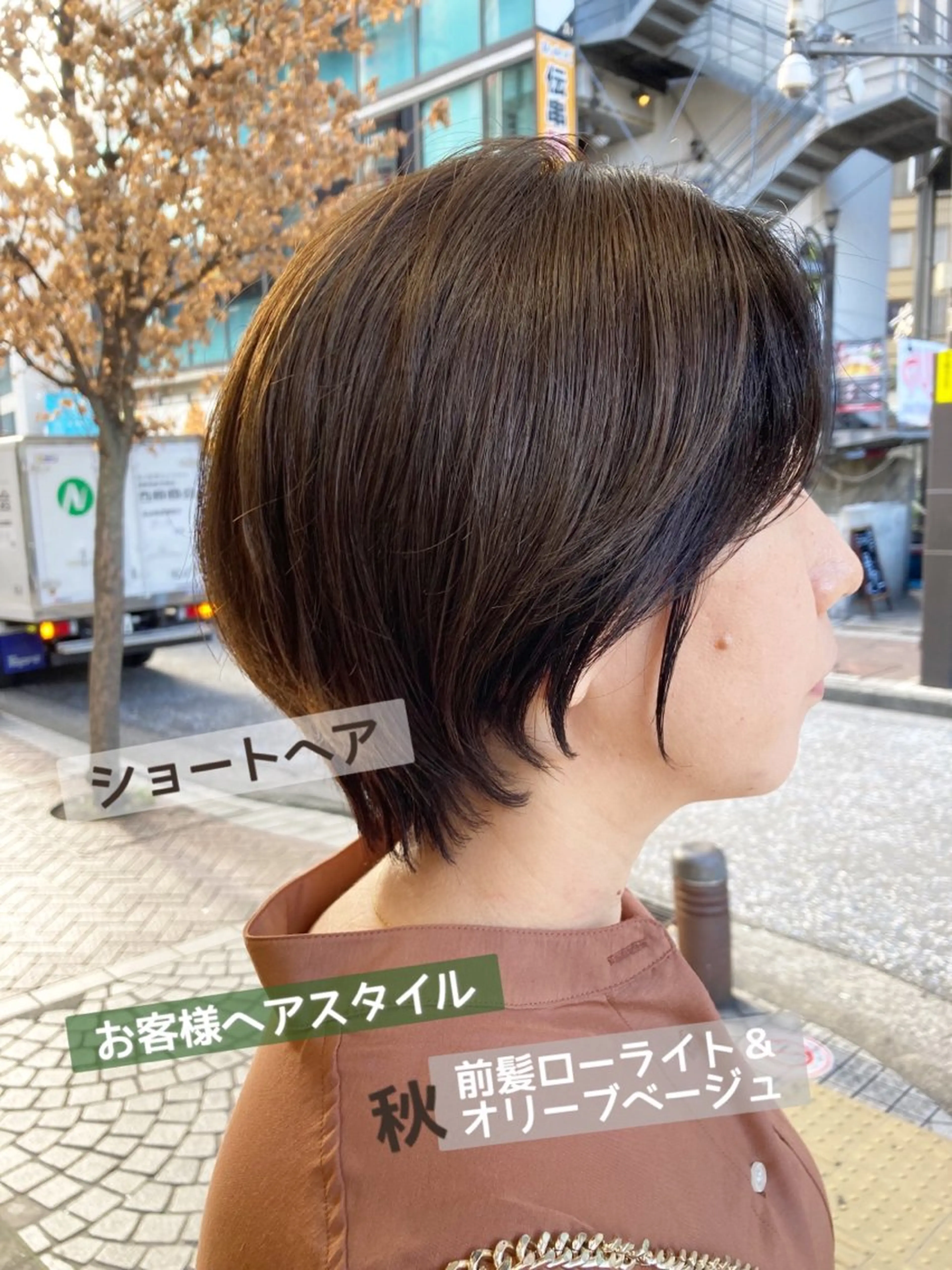 ショート あやかショート 白髪ぼかしのヘアスタイル