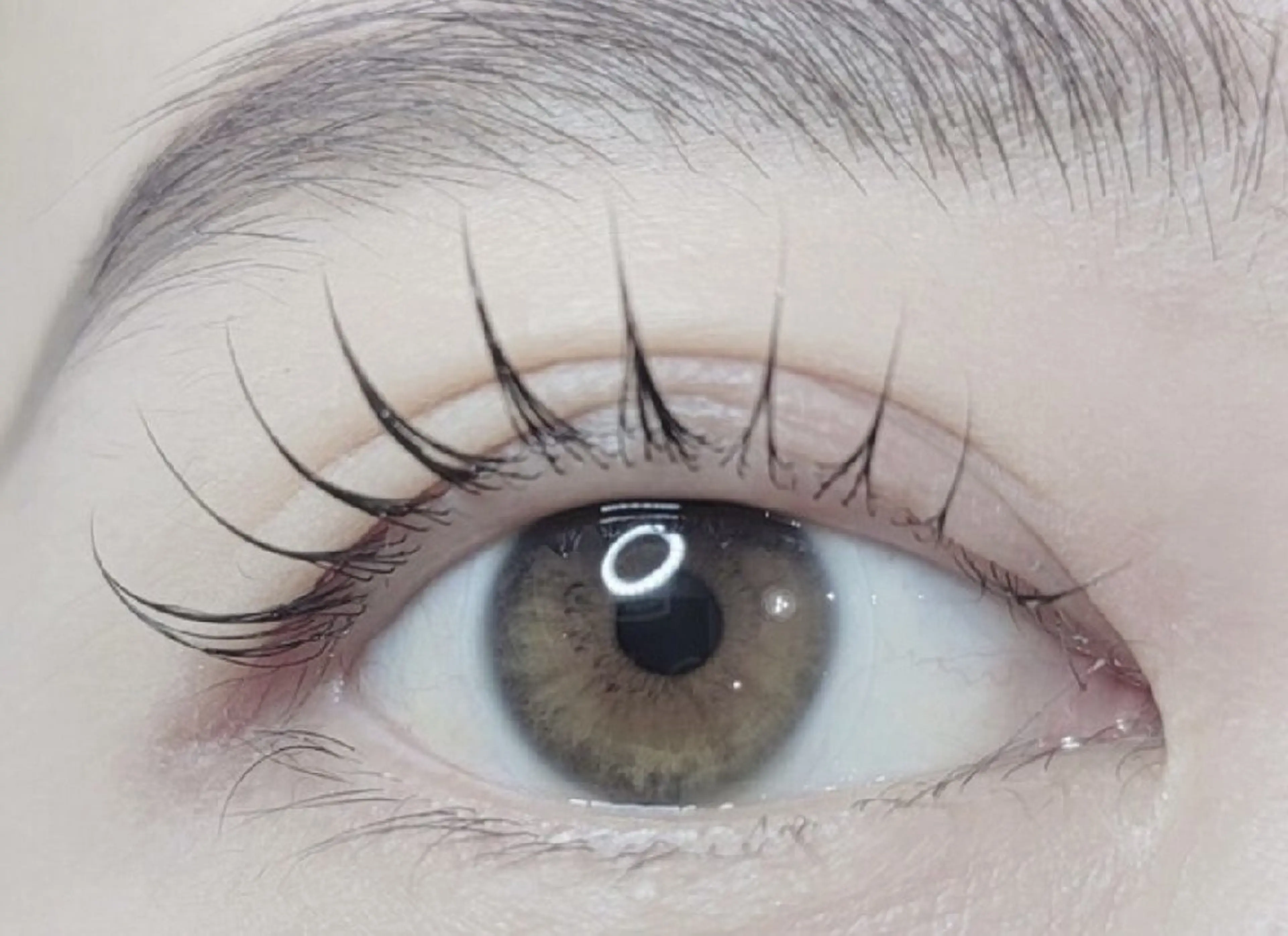 🌸2回目までok🌸プロの施術！数十種類から選べるデザインマツパ¥6600→¥3980 ※補足事項必ずお読み下さいの写真