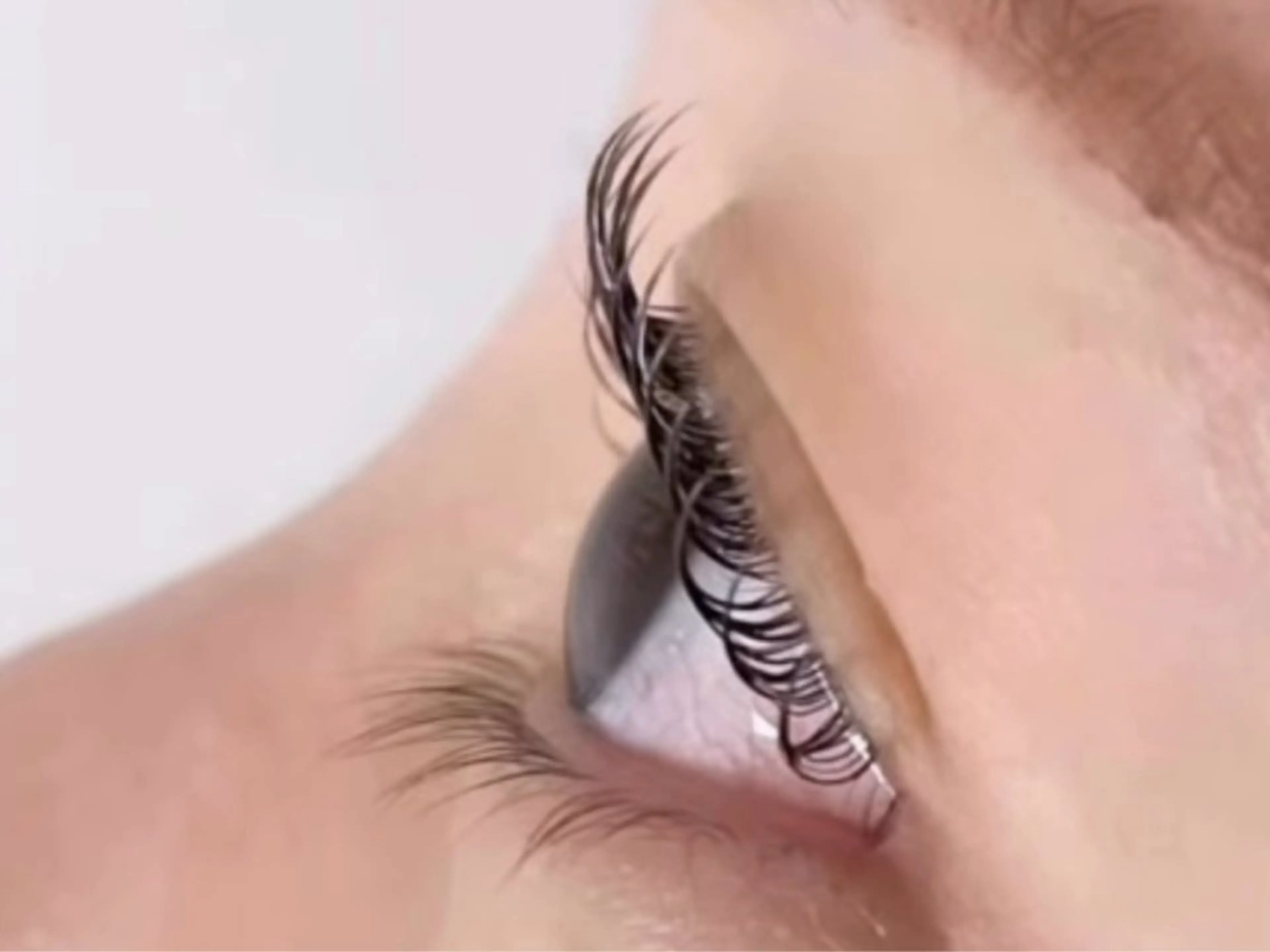 マツエク・マツパ マツエク Max eyelash池袋のマツエク・マツパデザイン