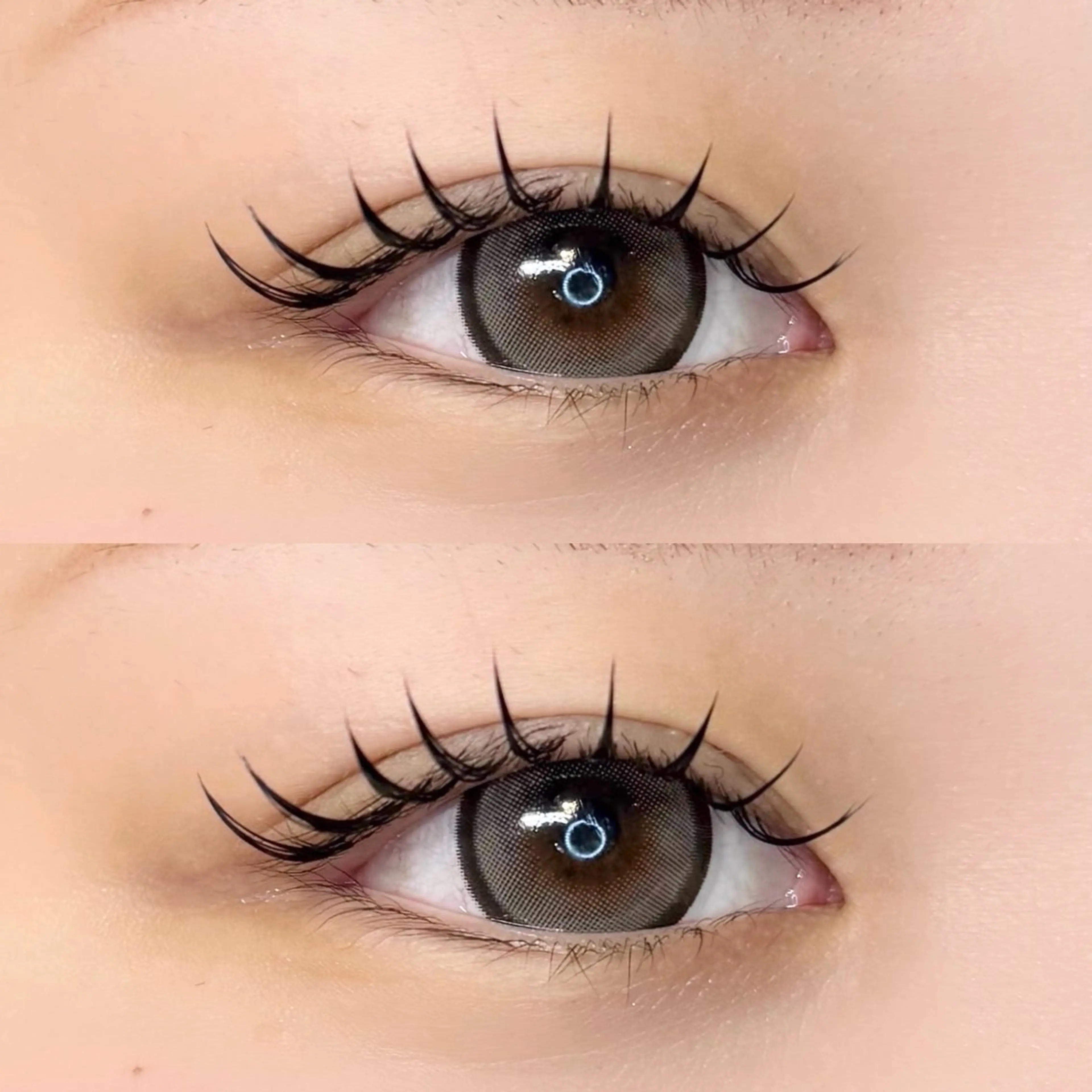 バインドロック100束の写真