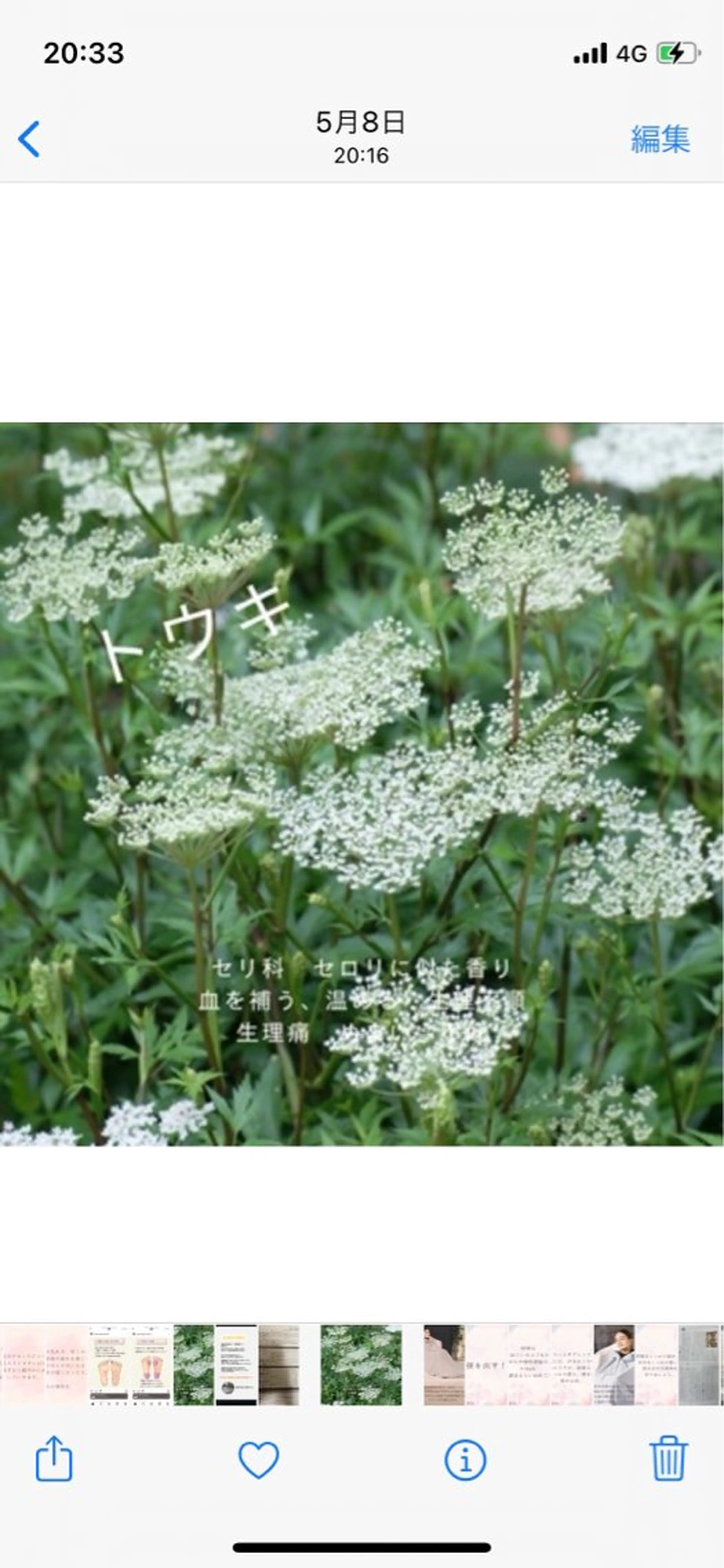 エステ リラク 最先端温活・痩身 よもぎ・ハーブ蒸しのエステ・リラクイメージ