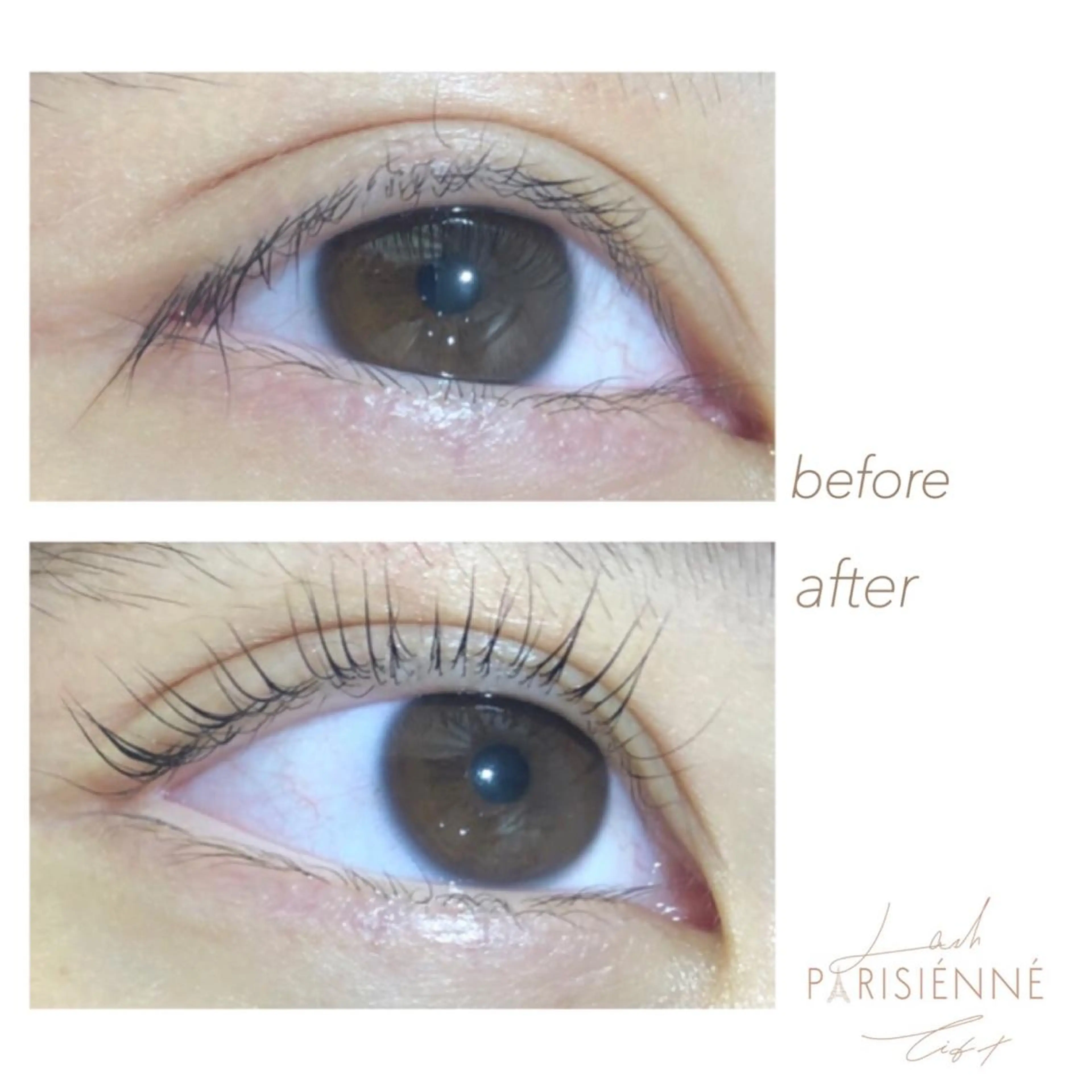 マツエク・マツパ ｓａｋｕｒａ .のマツエク・マツパデザイン