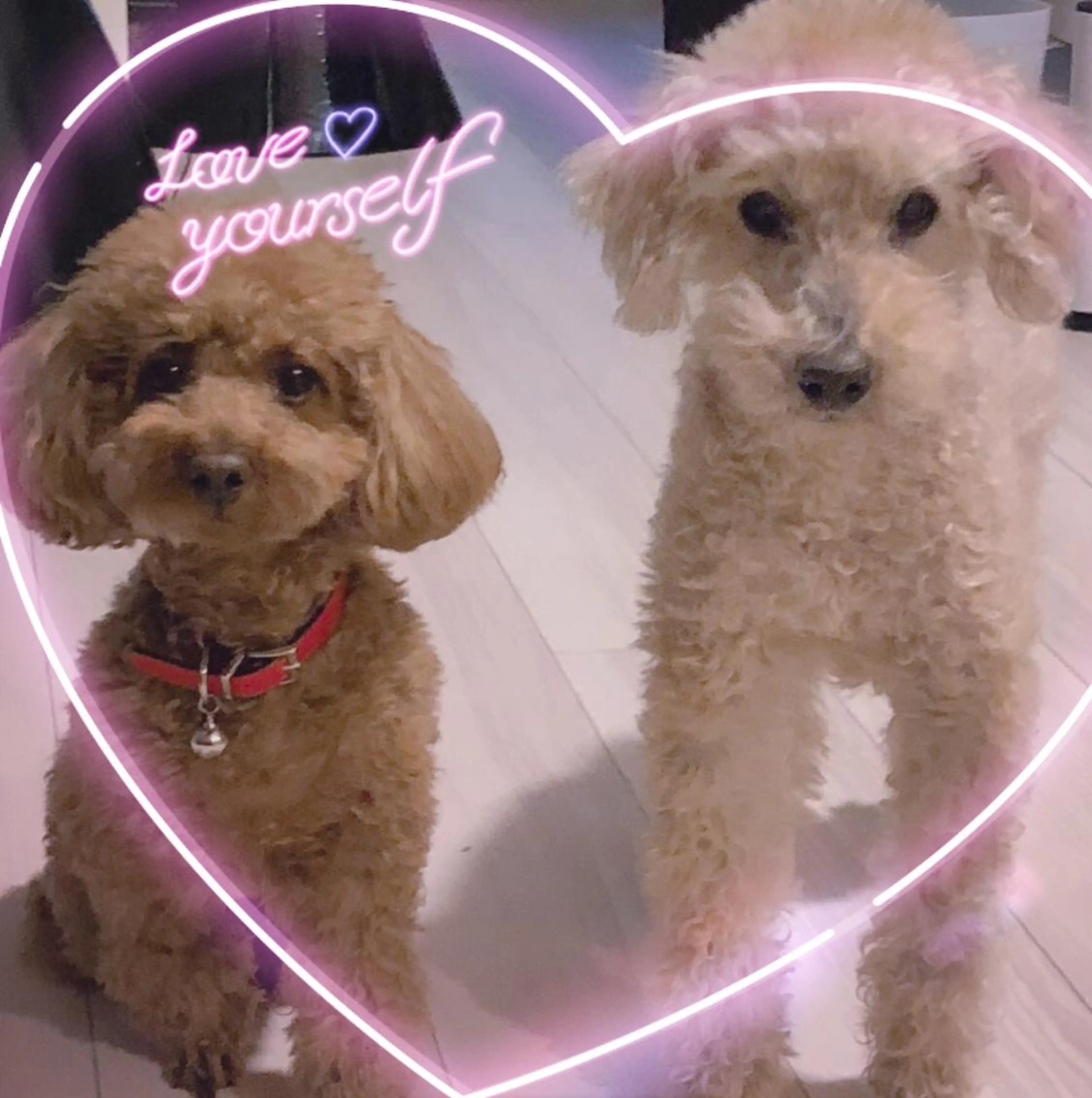 脱毛サロン RP（ルピ）のエステ・リラクイメージ