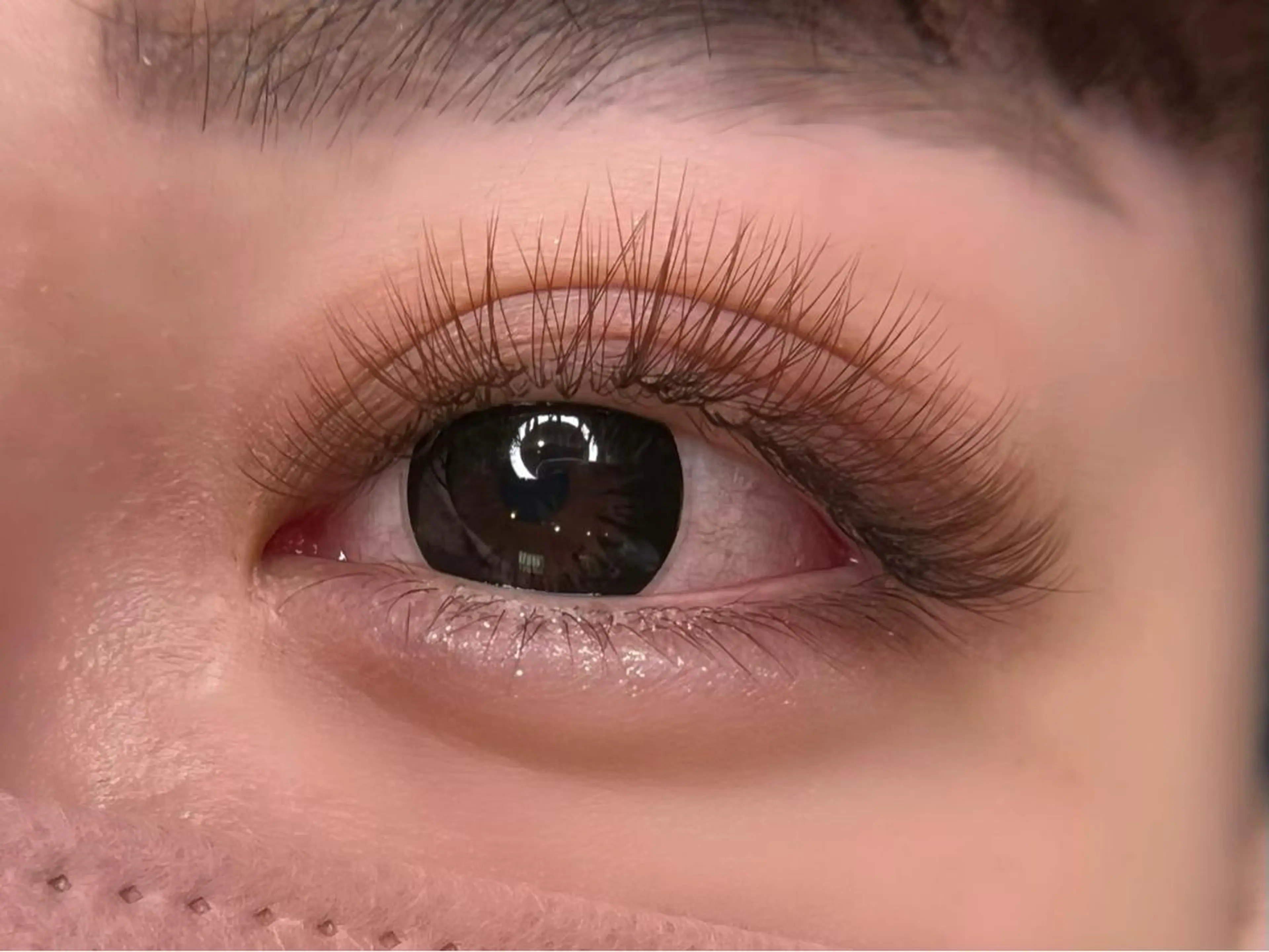 マツエク・マツパ Fameu+ HIMEKAのマツエク・マツパデザイン