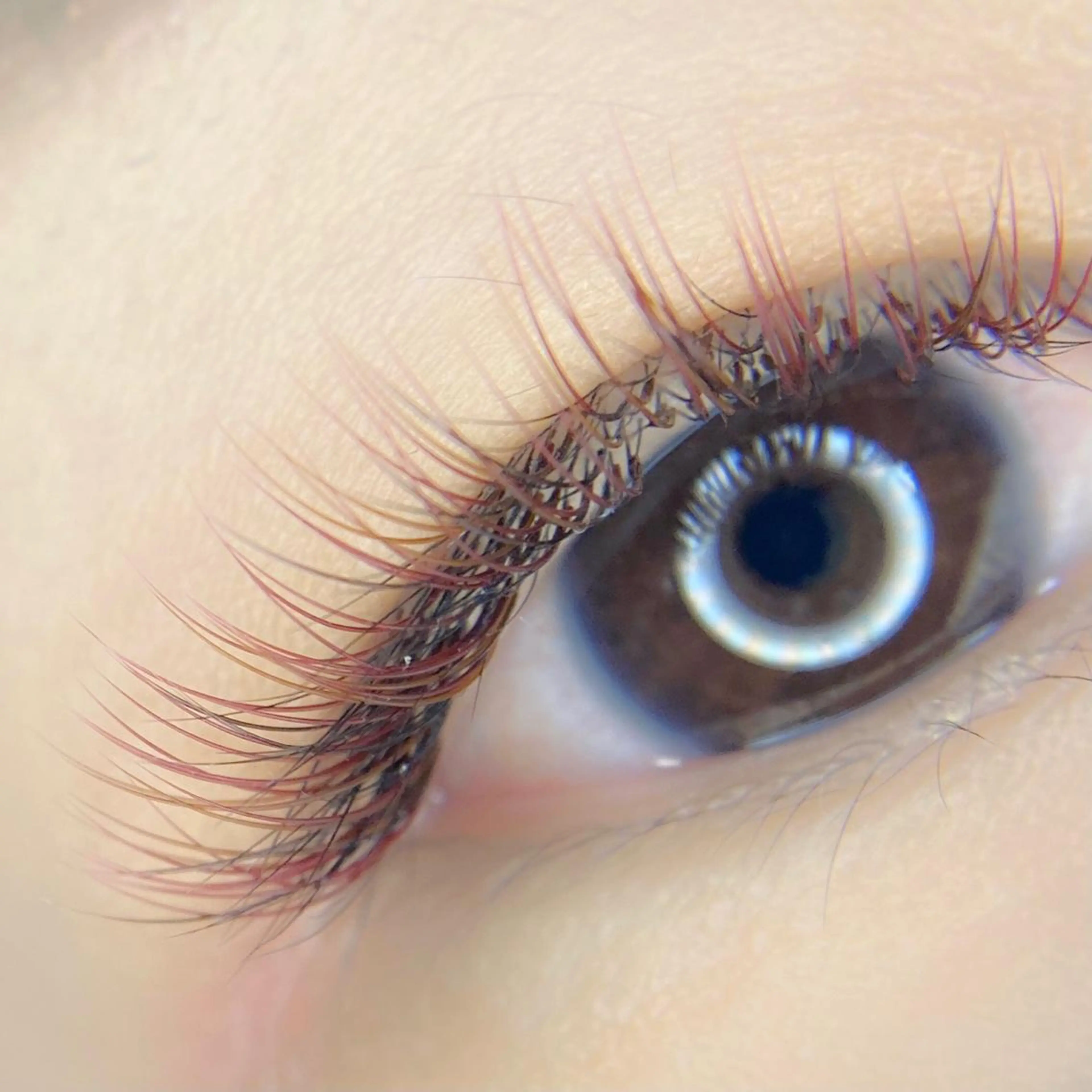 マツエク・マツパ ichi ...のマツエク・マツパデザイン