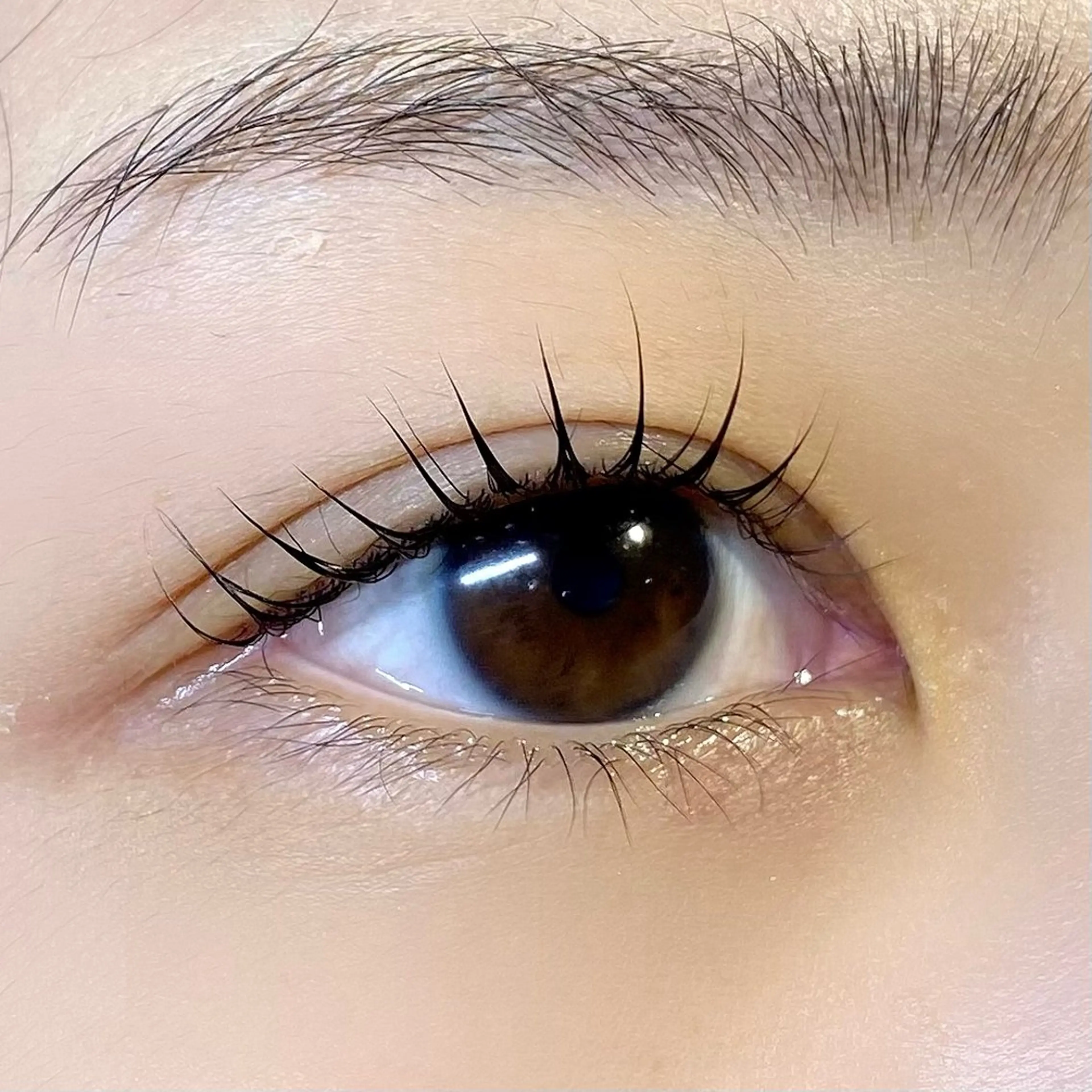 マツエク・マツパ パリジェンヌラッシュリフト Plaisir イズミカワの眉毛・アイブロウイメージ