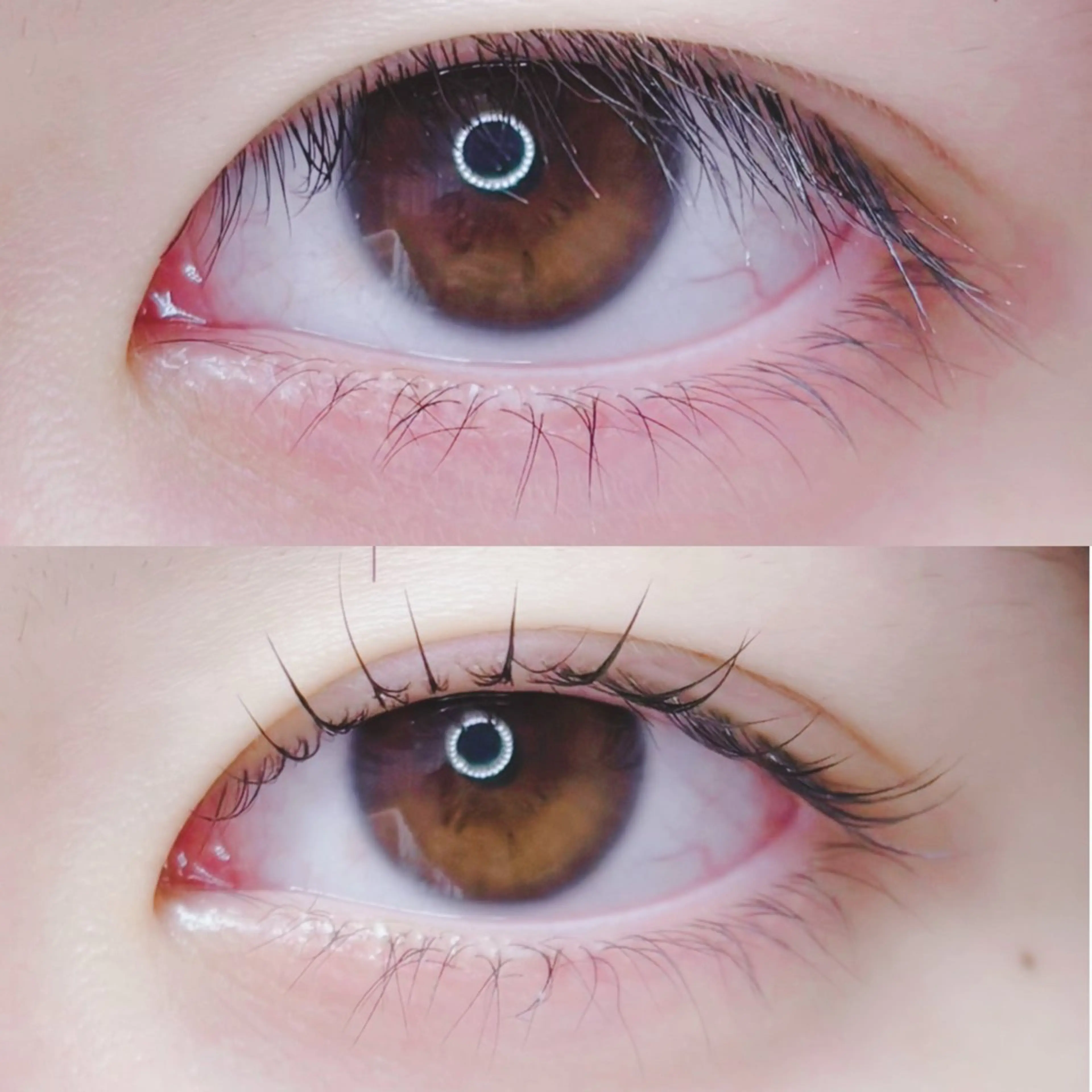 マツエク・マツパ ナチュラル Sasaki .のマツエク・マツパデザイン