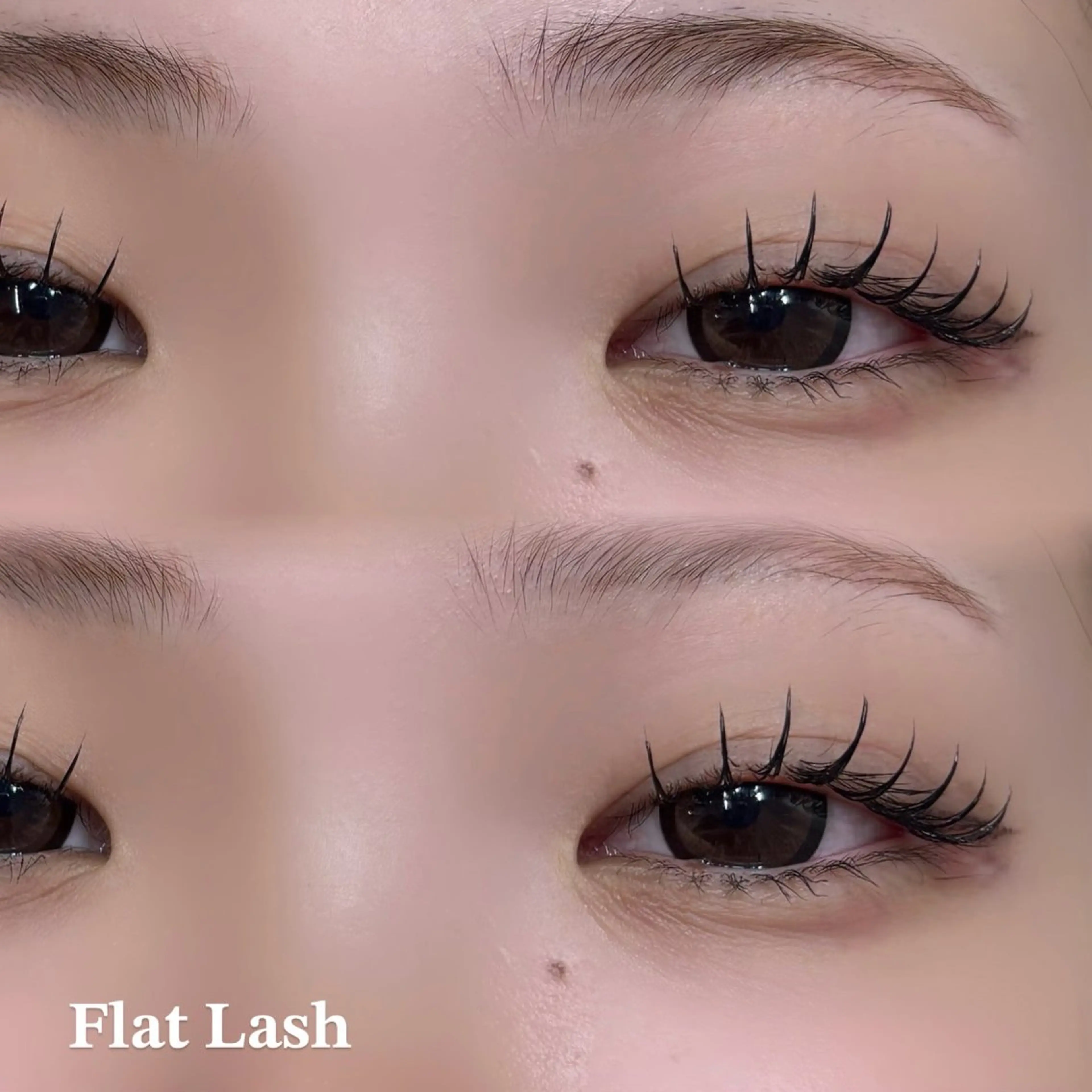 マツエク・マツパ YUZUKI .⋆𝜗𝜚のマツエク・マツパデザイン