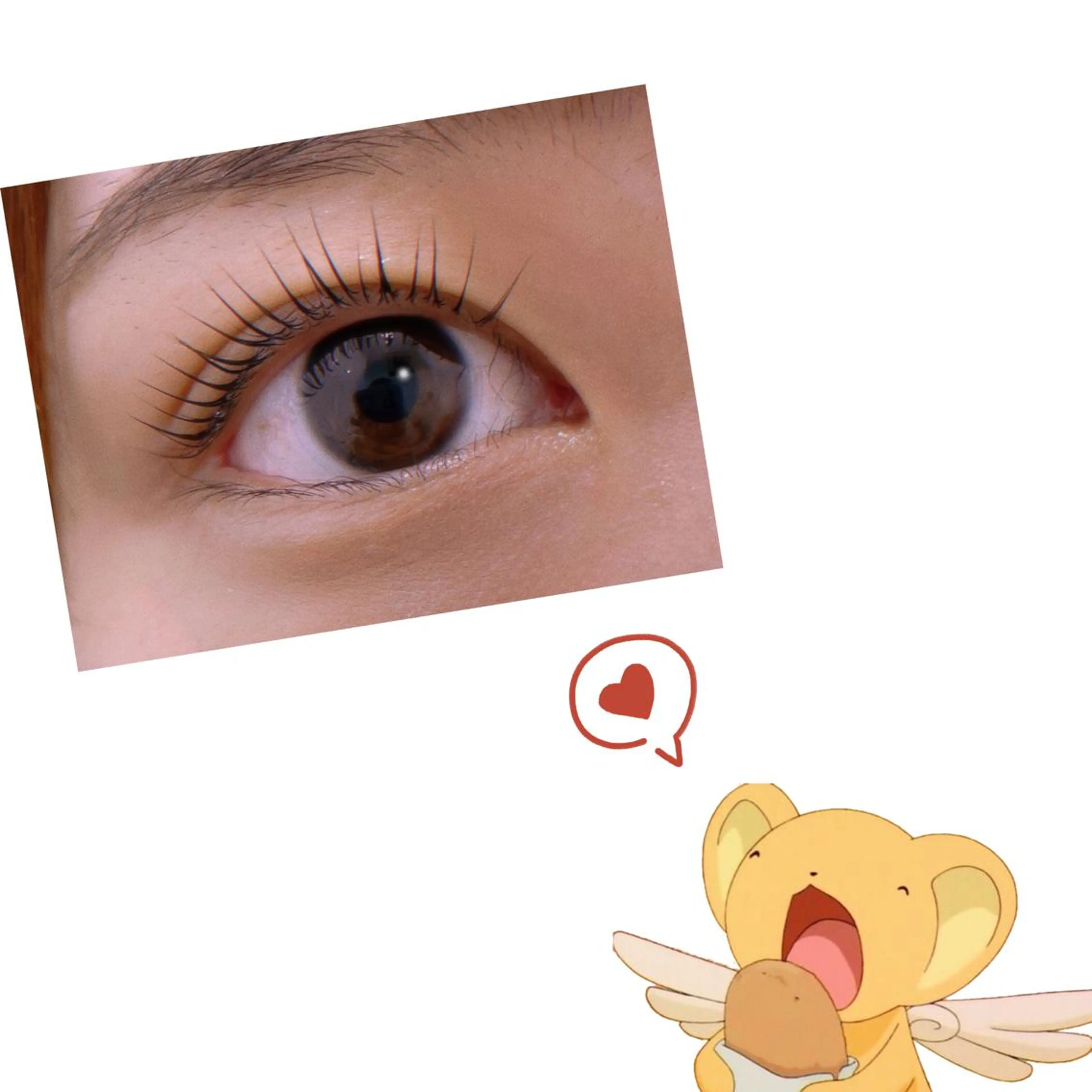 マツエク・マツパ レピア麻布十番 浦嶋の眉毛・アイブロウイメージ