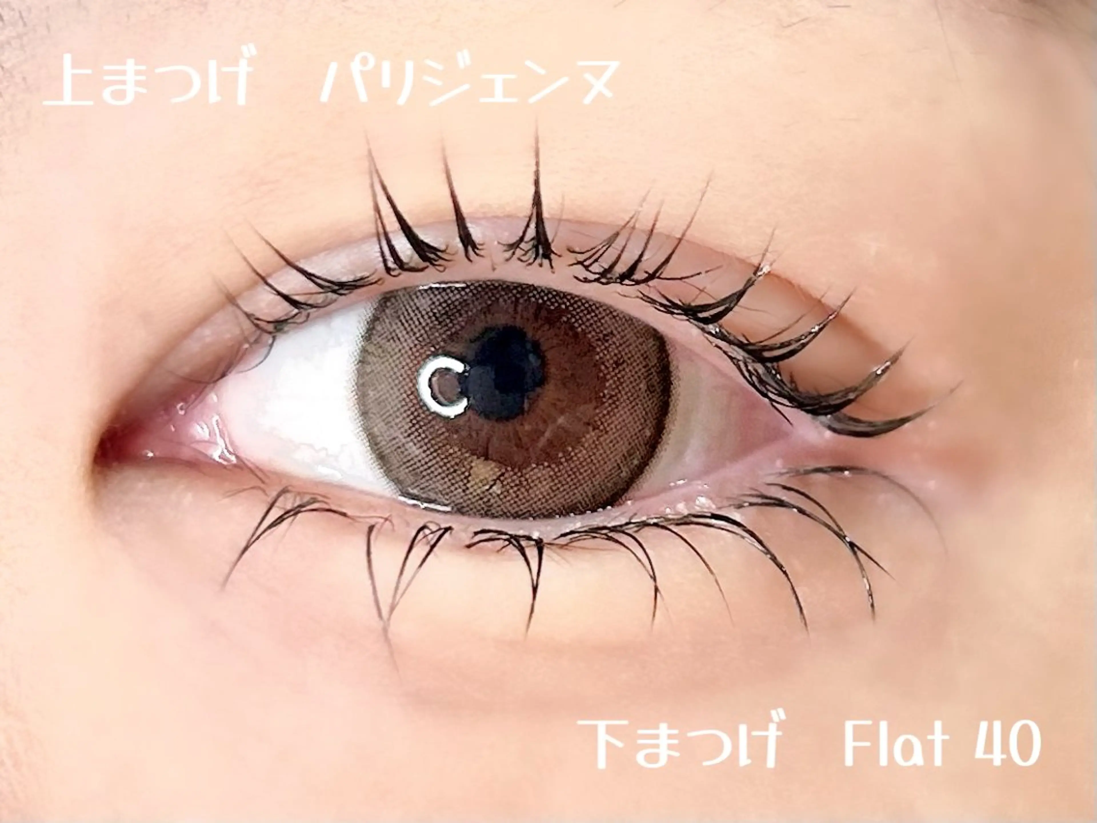 マツエク・マツパ マツパ elua eyelashの眉毛・アイブロウイメージ