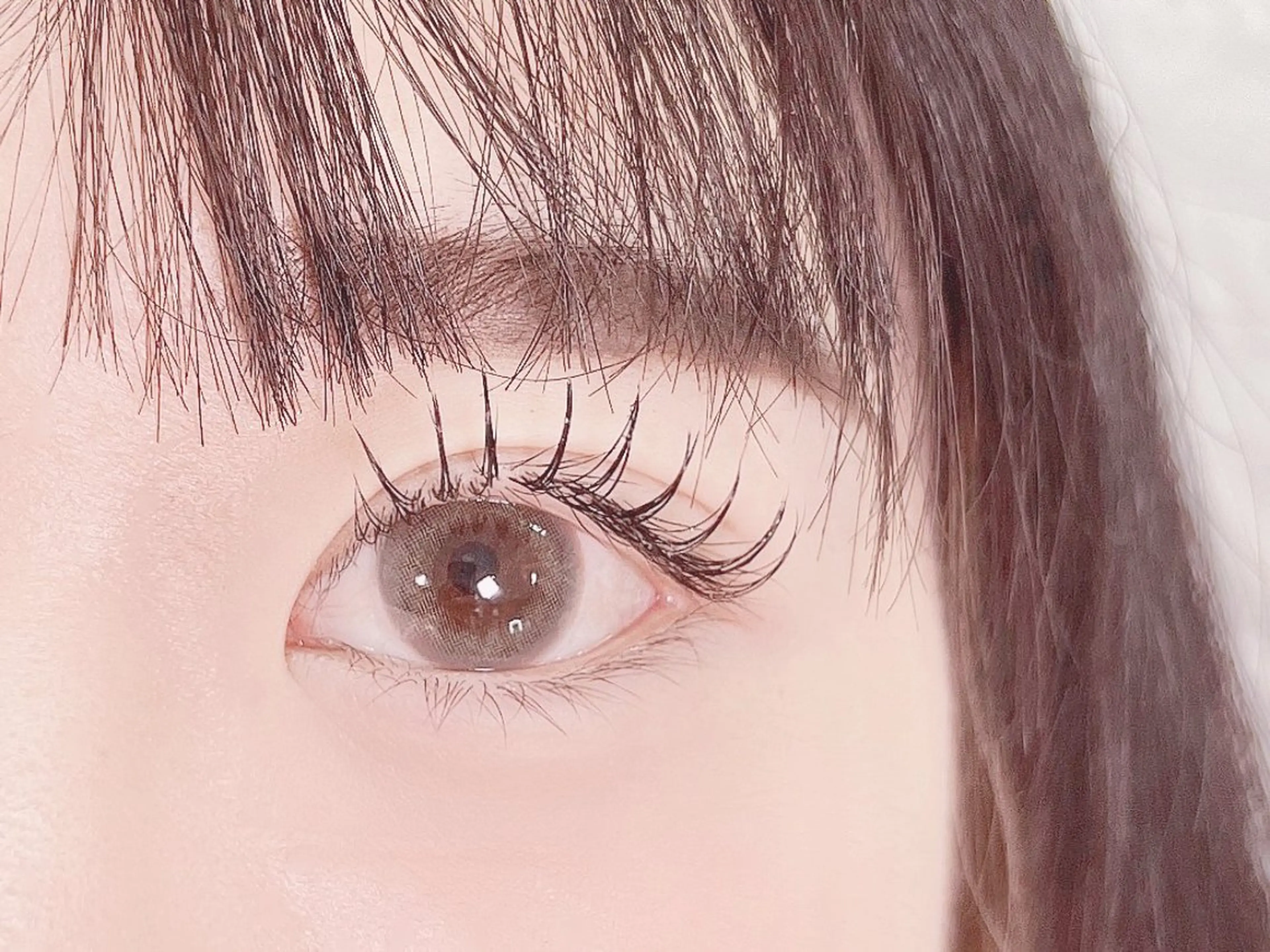 マツエク・マツパ Chipi Eyelashの眉毛・アイブロウイメージ