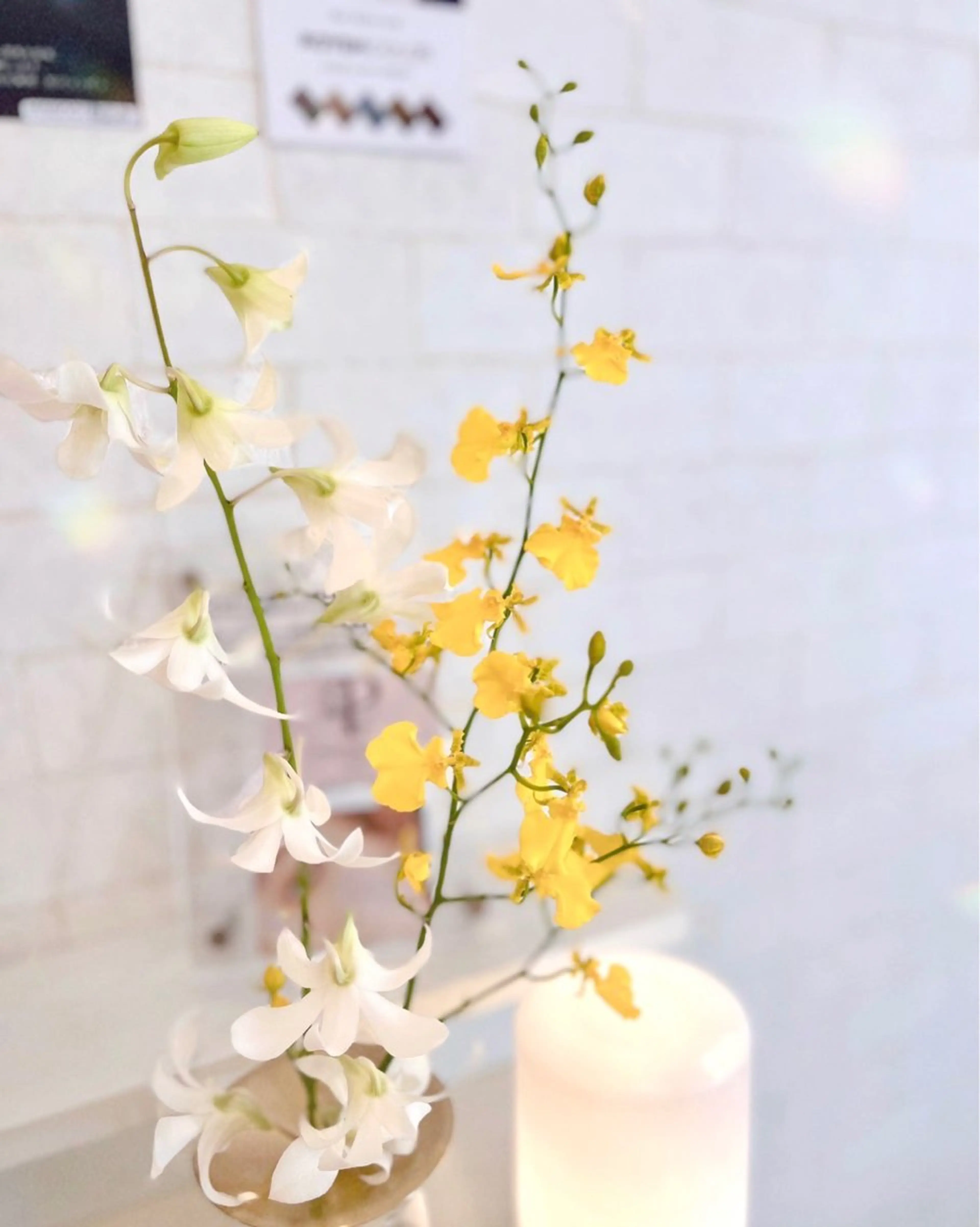 マツエク・マツパ 木場 ＊のマツエク・マツパデザイン