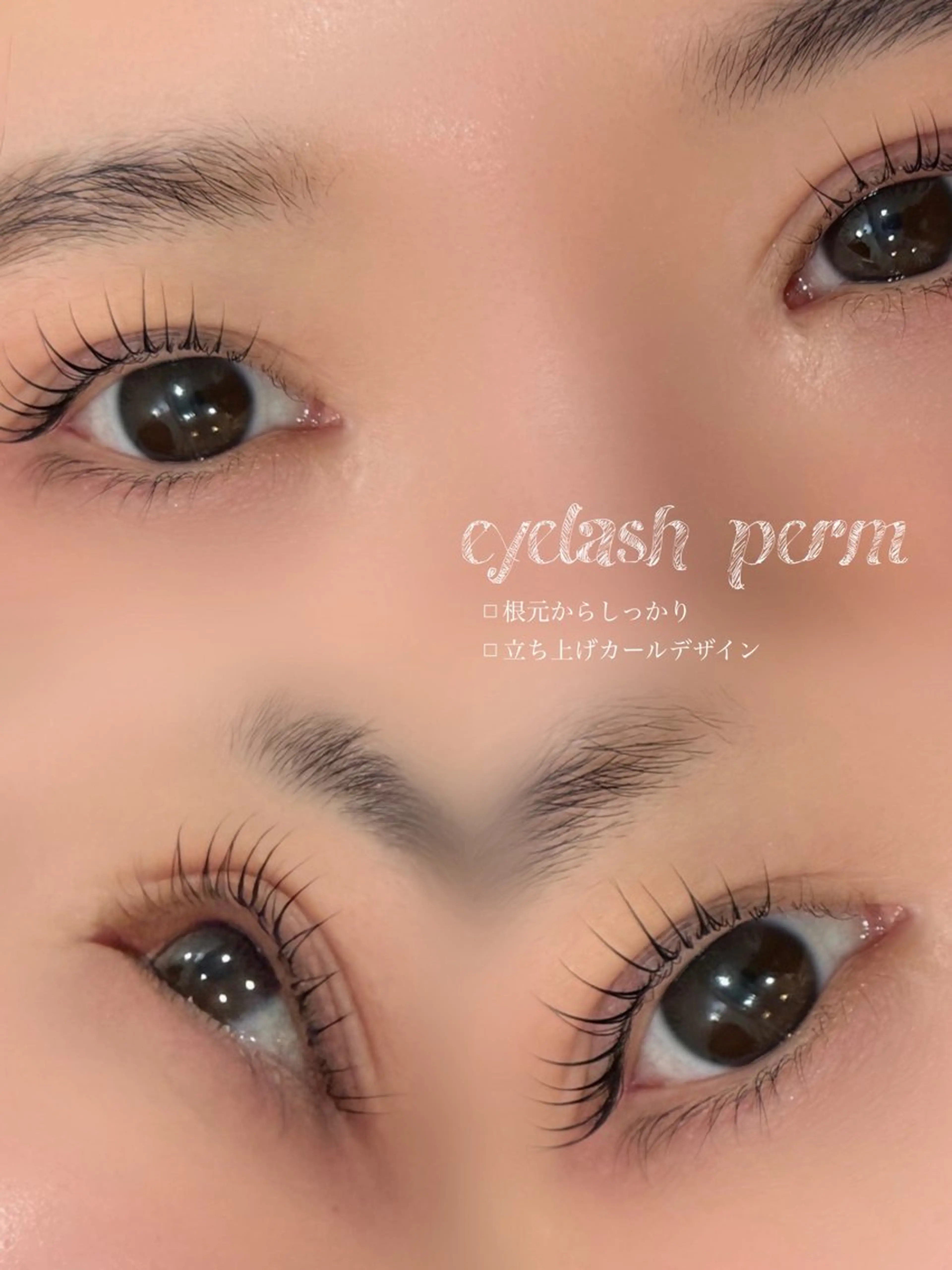 ãŸã€ãããŒã 4æ17æ¥éå®ðâ¡ã®åç