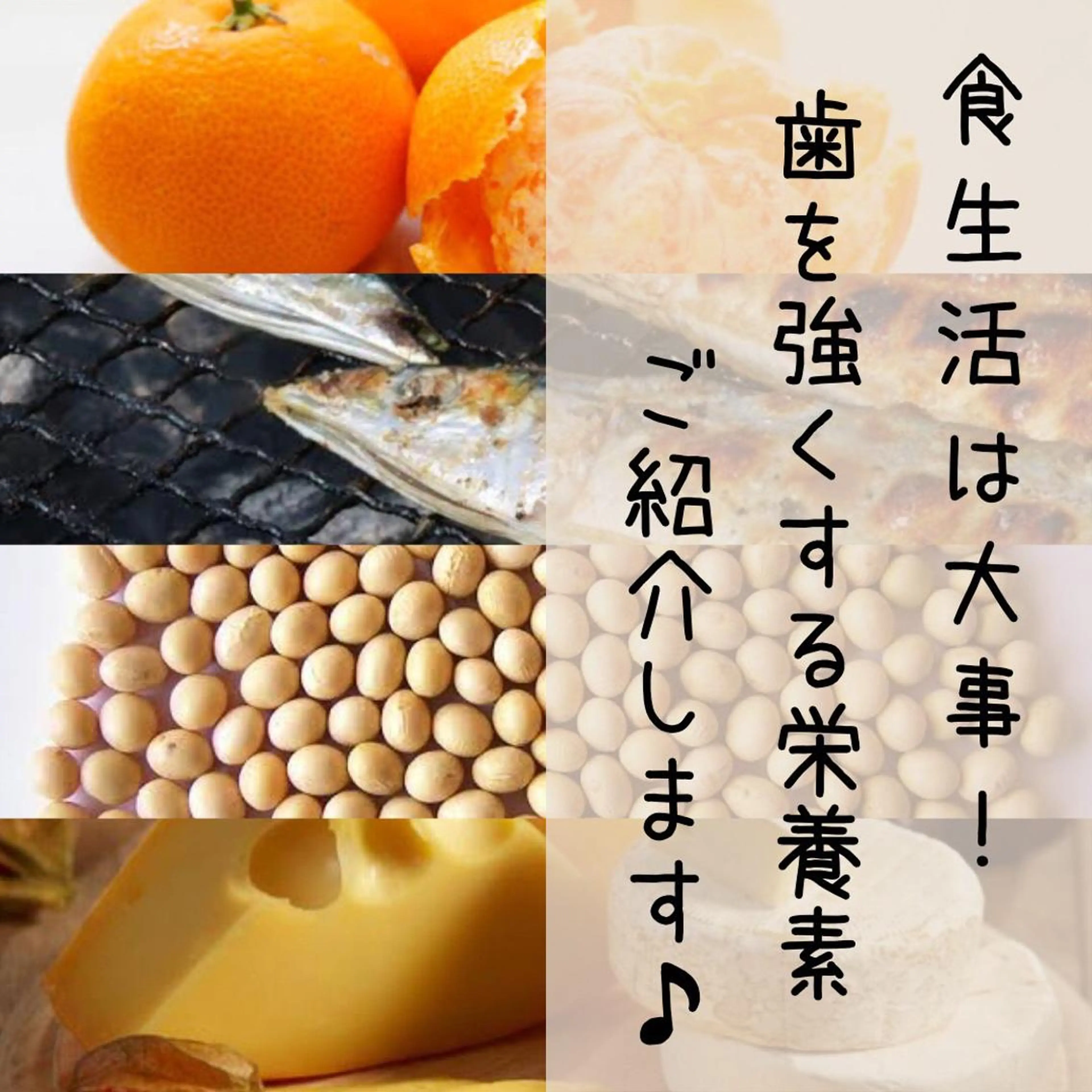 その他 ライトビューティー 恵比寿店のその他イメージ