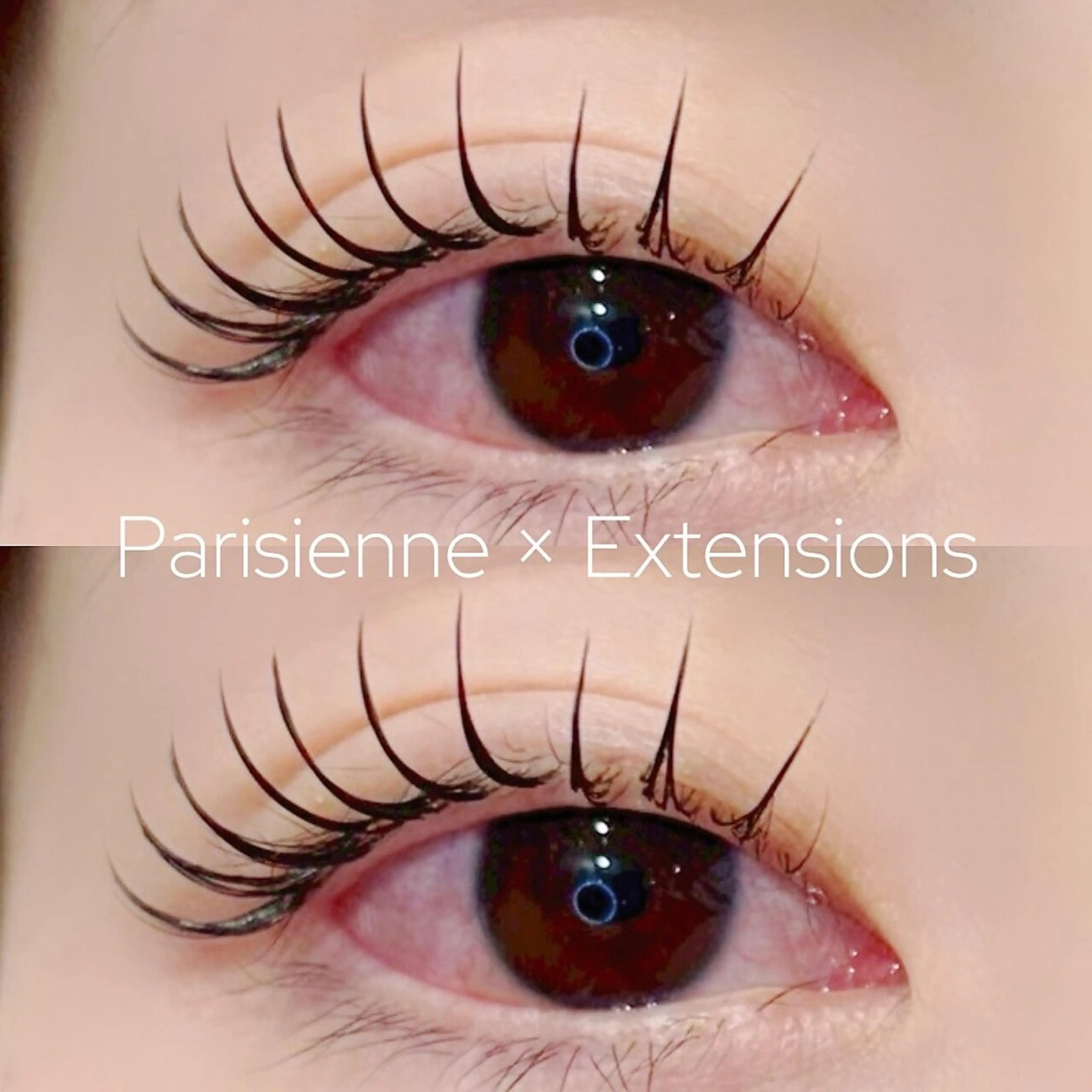 パリエク100本💐✨の写真